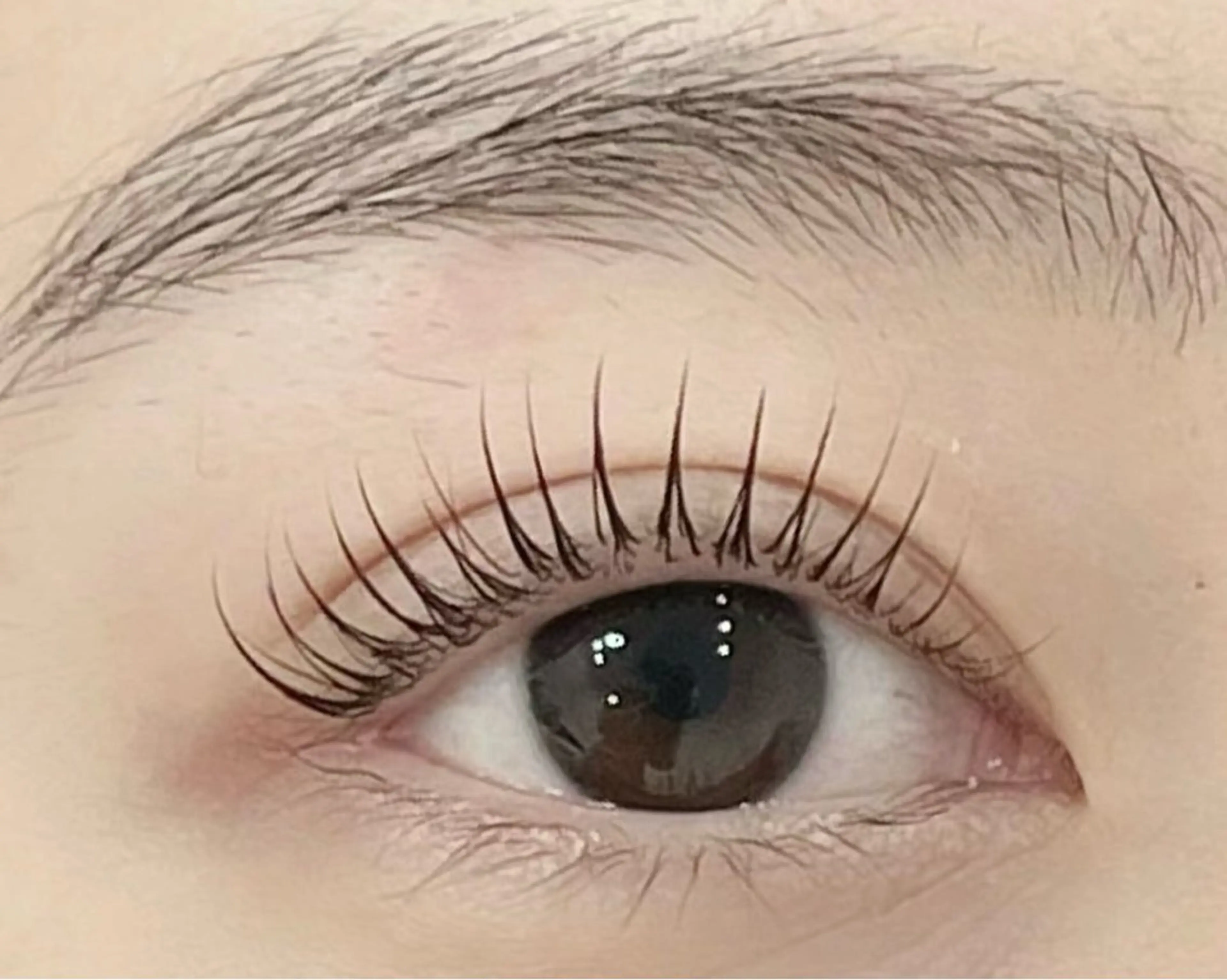 ラッシュリフト（美容液コーティング&アイパック込み）の写真