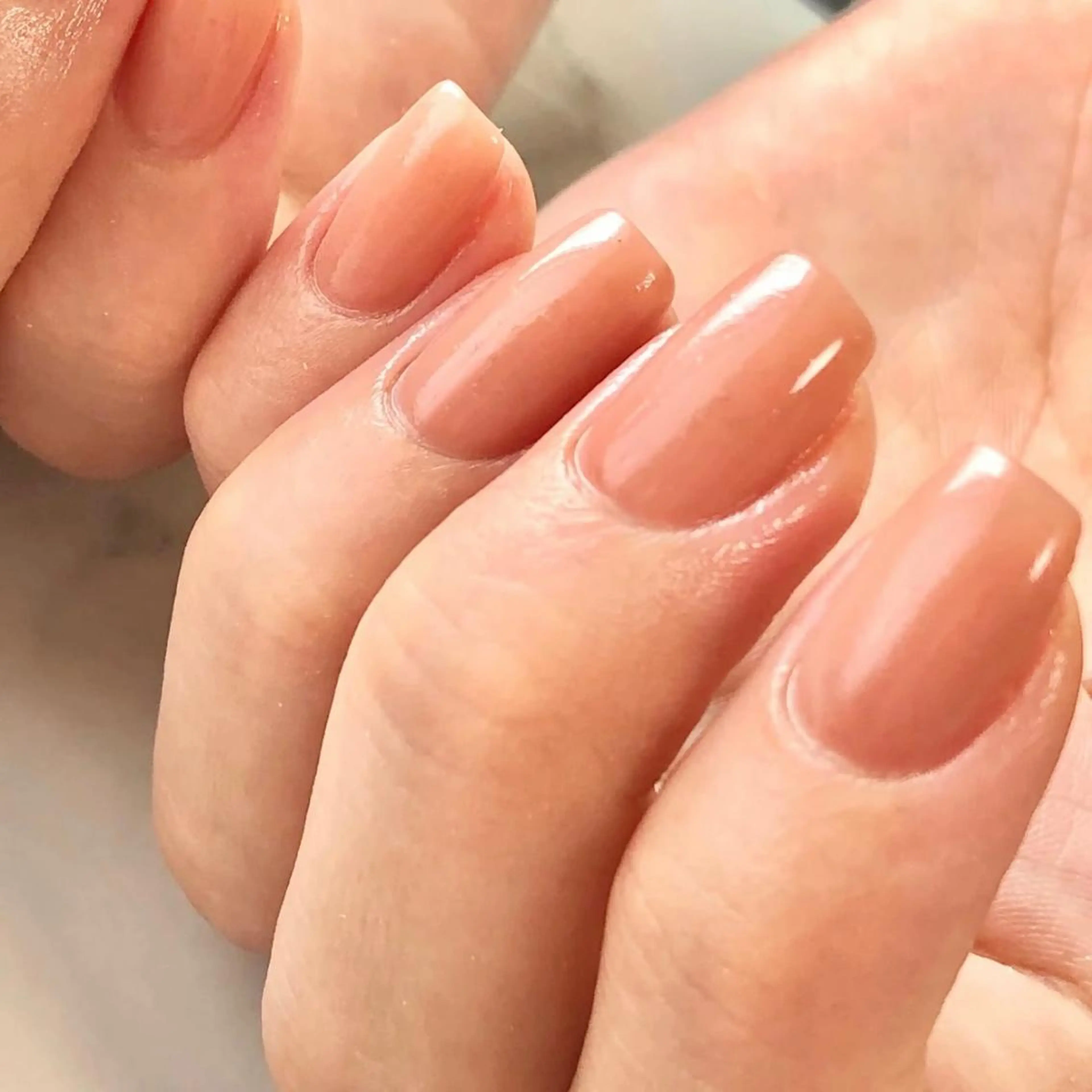 ワンカラーの写真