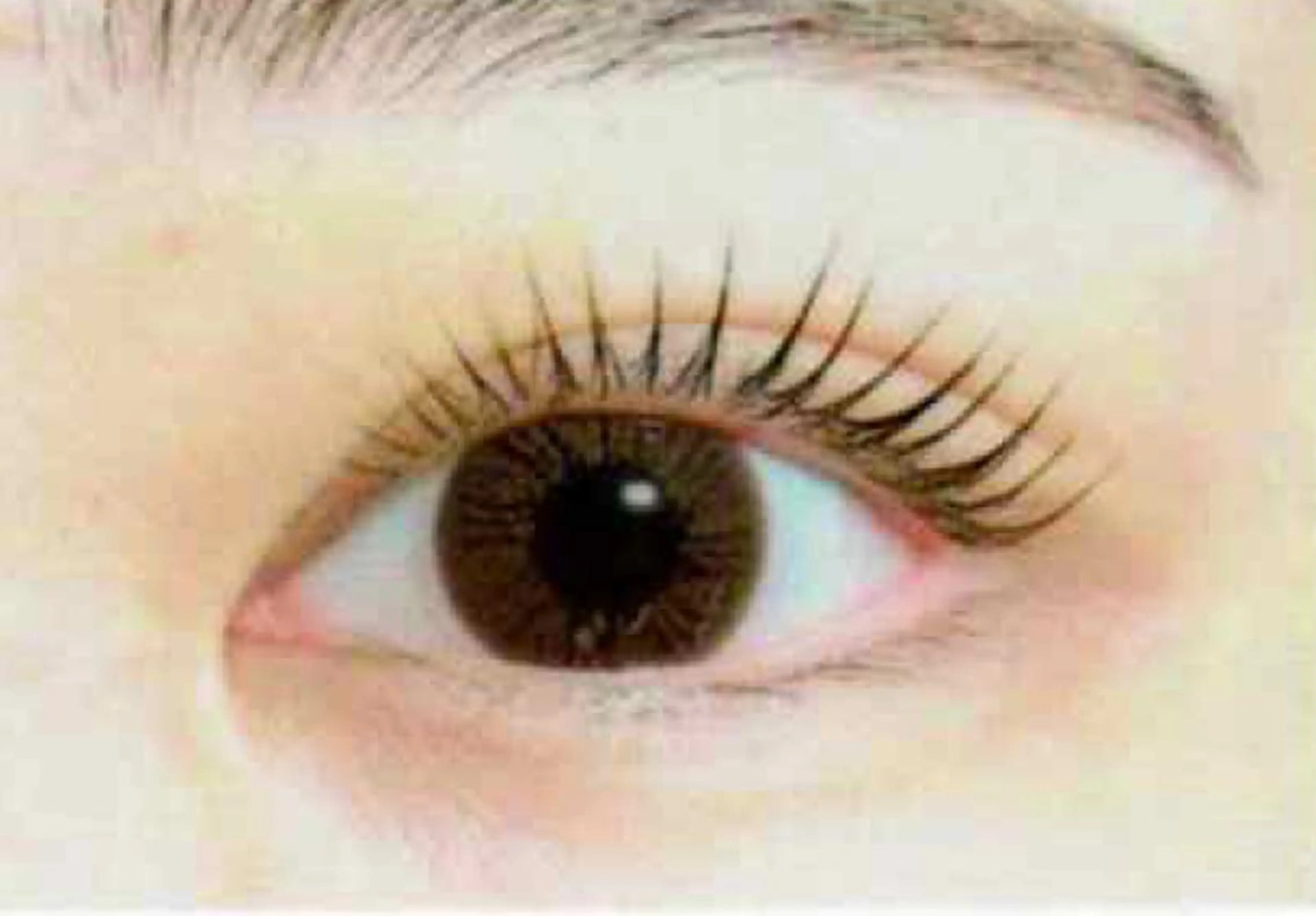 ミニモ限定価格！ケラチントリートメント付き♡まつ毛パーマ、ラッシュリフト&コーティング仕上げ◇アイシャンプー付き◇の写真