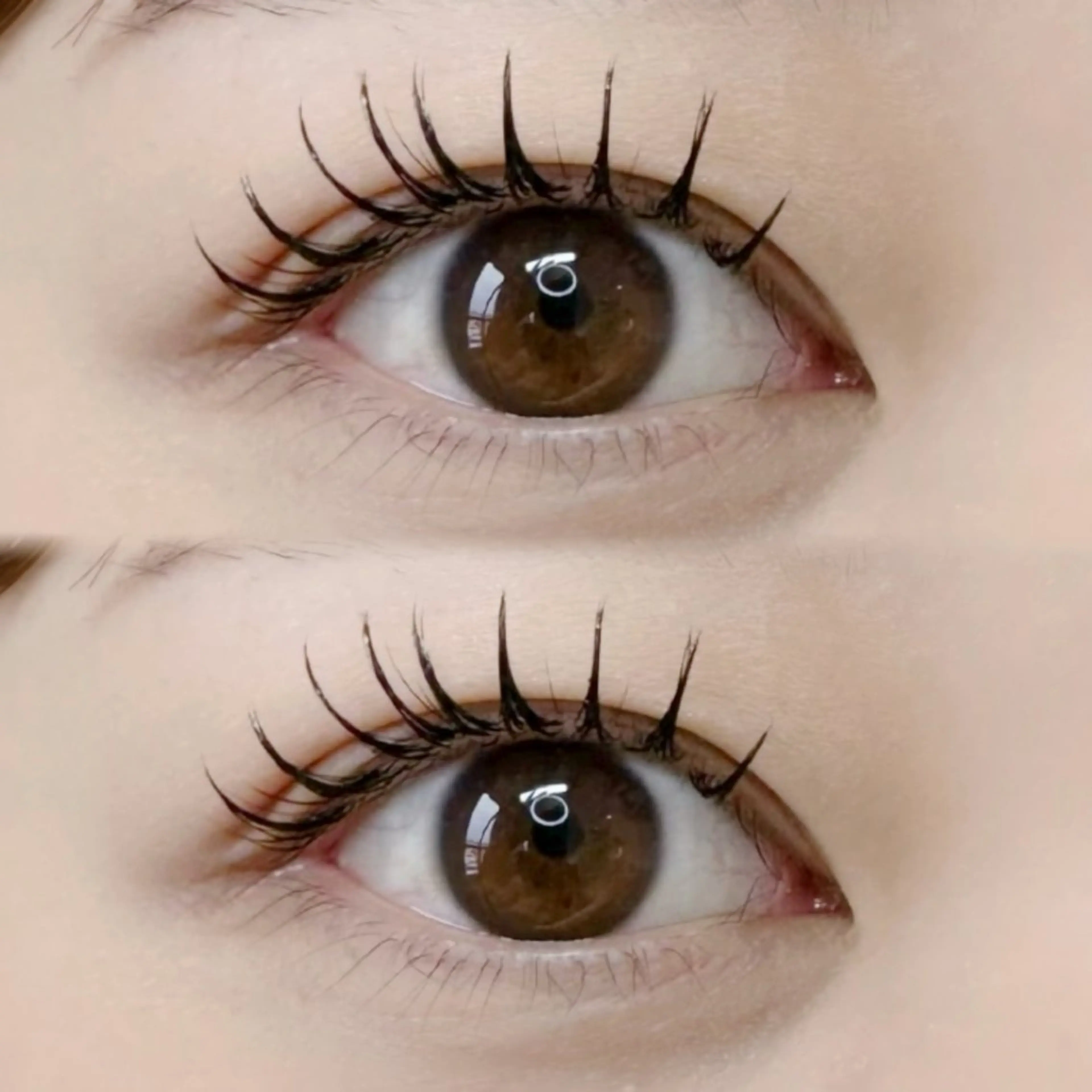 【新規】🌸エクステ80本×まつ毛パーマ🌸の写真