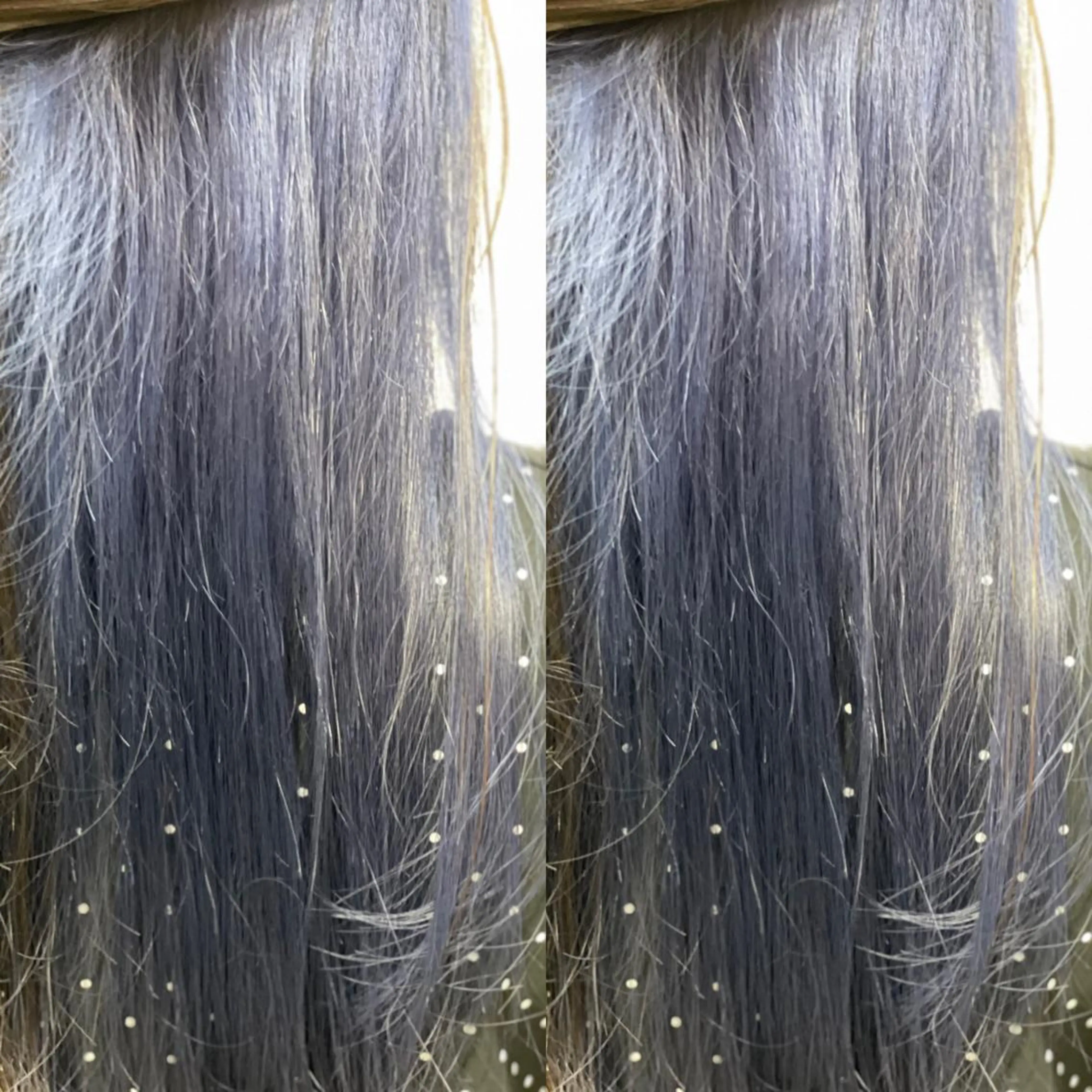 ロング カラー Snaly カラー特化ページのヘアスタイル