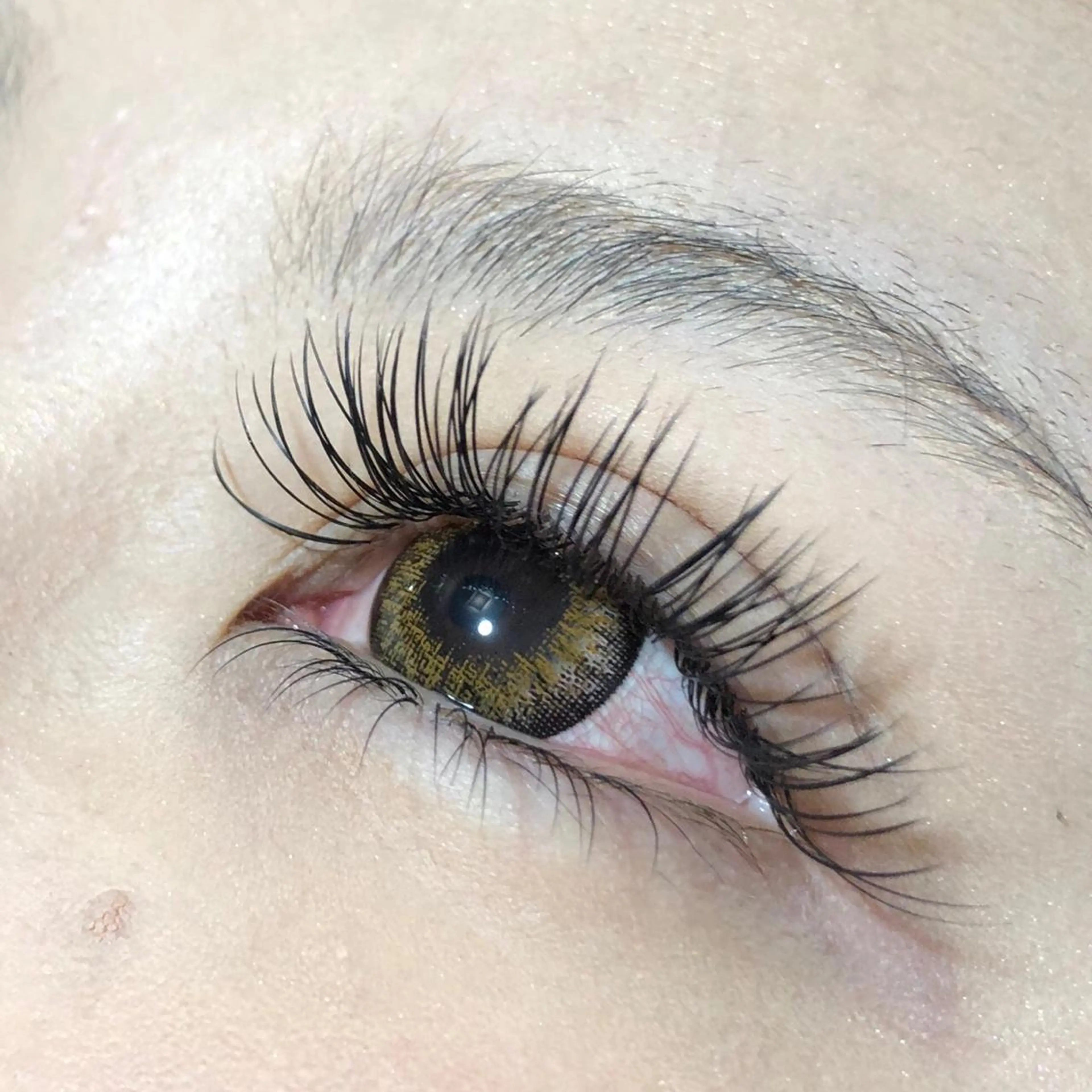 マツエク・マツパ マツエク Q-LEA まつエク まつ毛パーマ 四条大宮所属・Q-LEA 四条大宮 クリアのマツエク・マツパデザイン