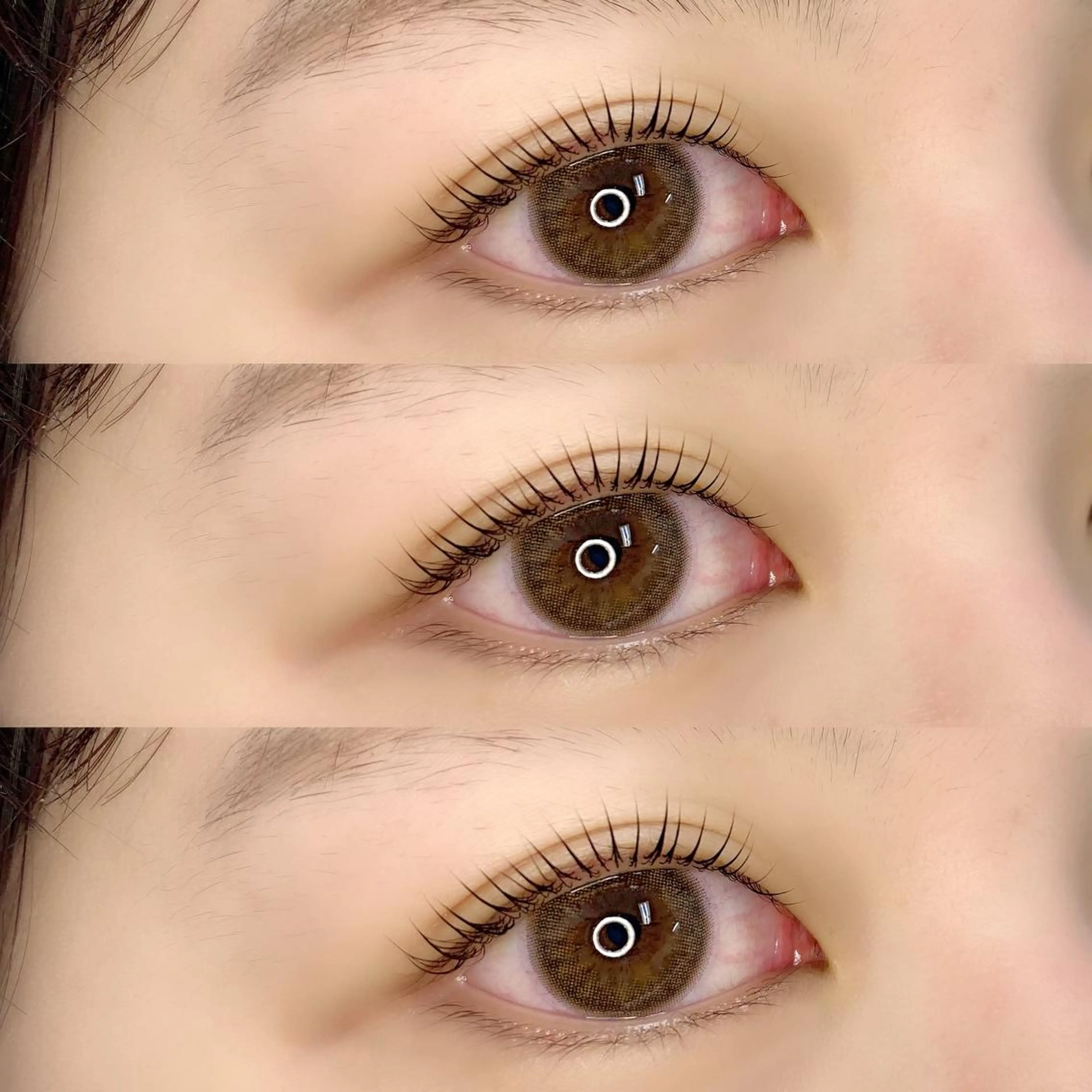 マツエク・マツパ パリジェンヌラッシュリフト LAND【ランド】 小鹿のマツエク・マツパデザイン