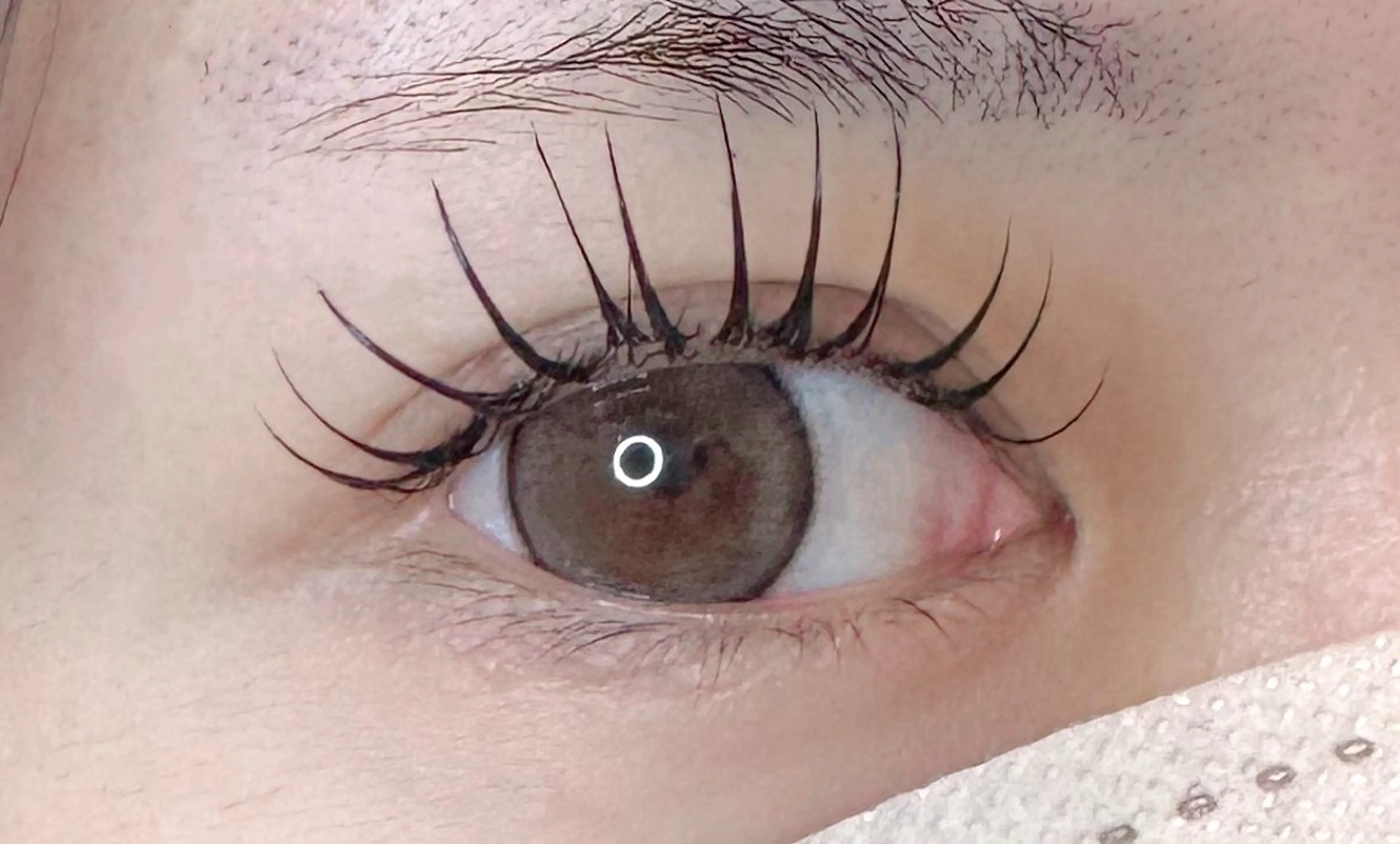 マツエク・マツパ ビューティージーンプロフェッショナル新宿店所属・🐶 IZUMI 🐾のマツエク・マツパデザイン