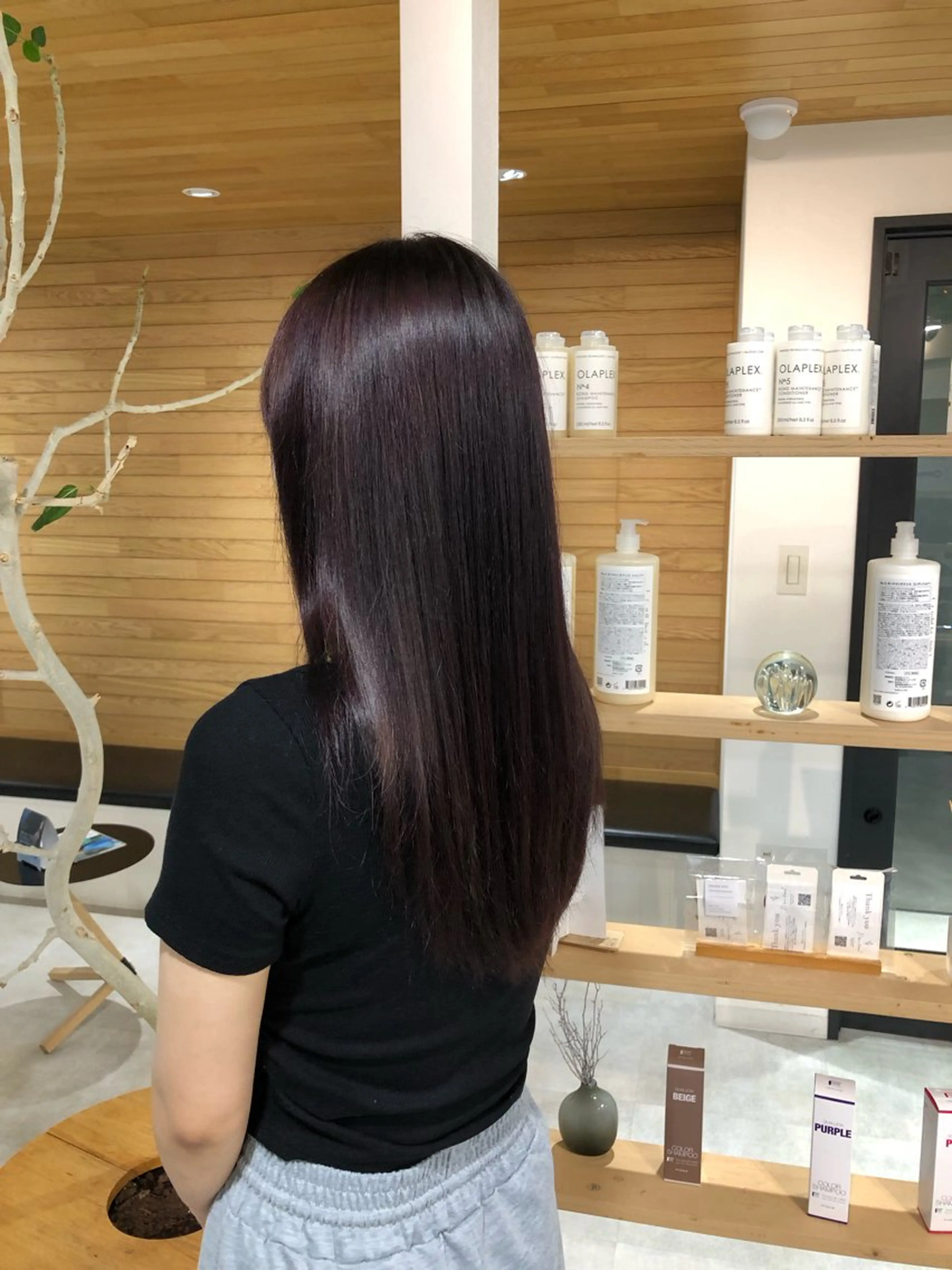 カラー 宮田 颯士のヘアスタイル