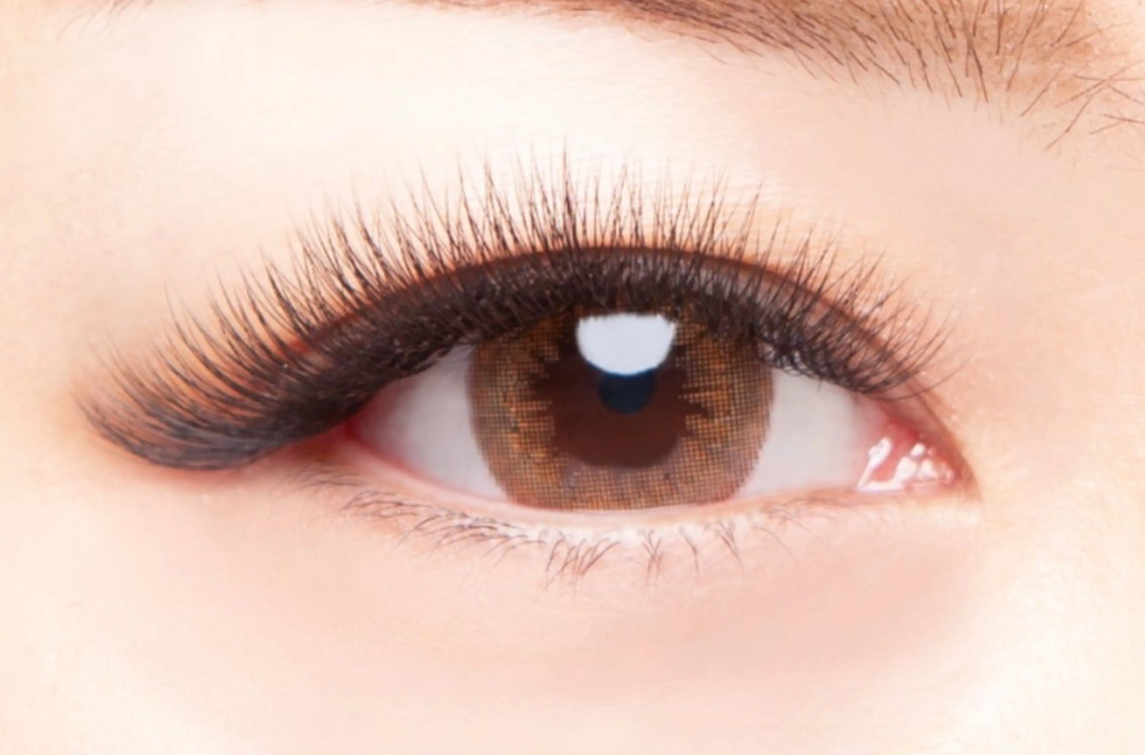 ボリュームラッシュ100束の写真