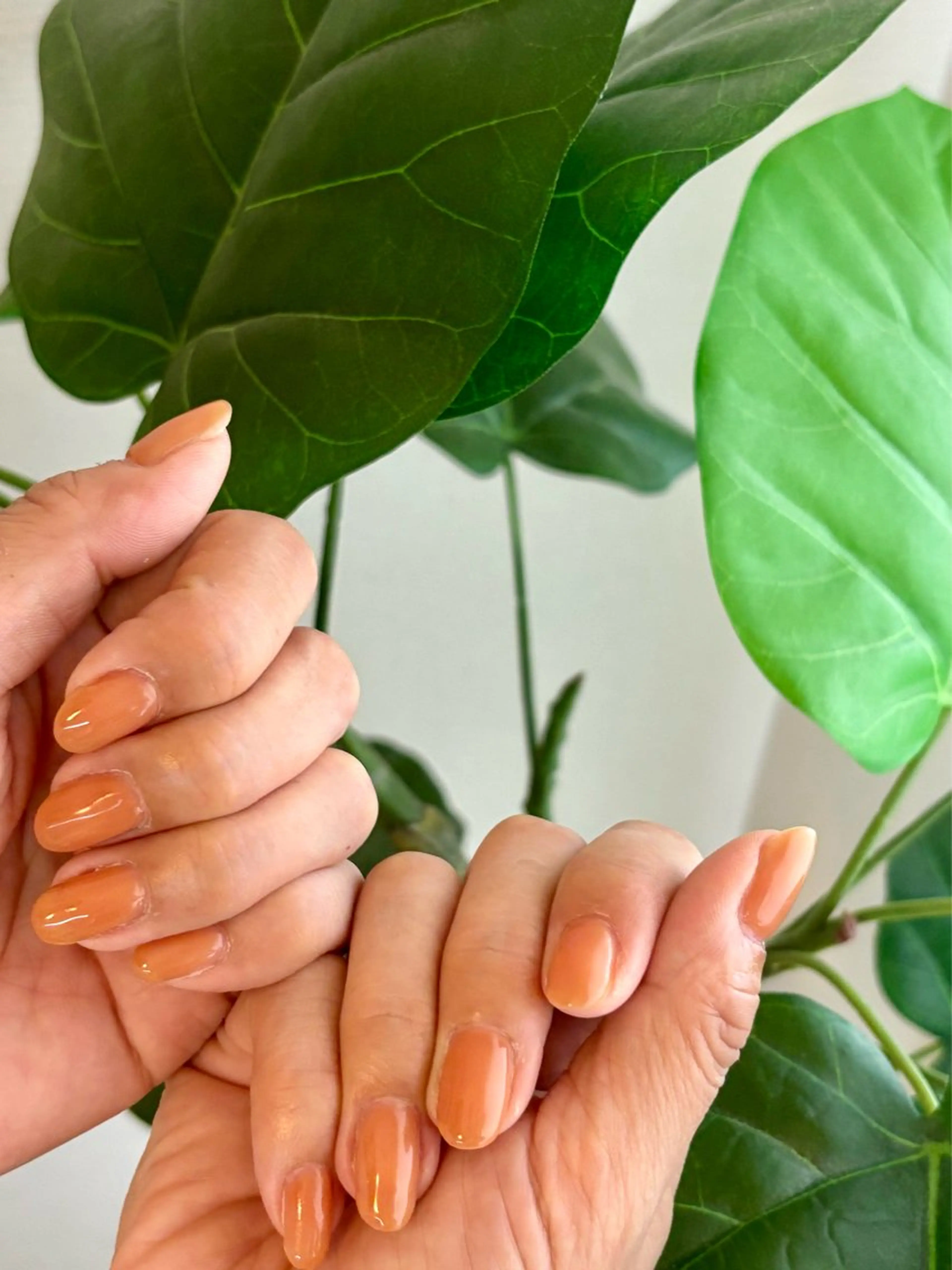 ネイル ワンカラーネイル nail room niko/moekoのネイルデザイン