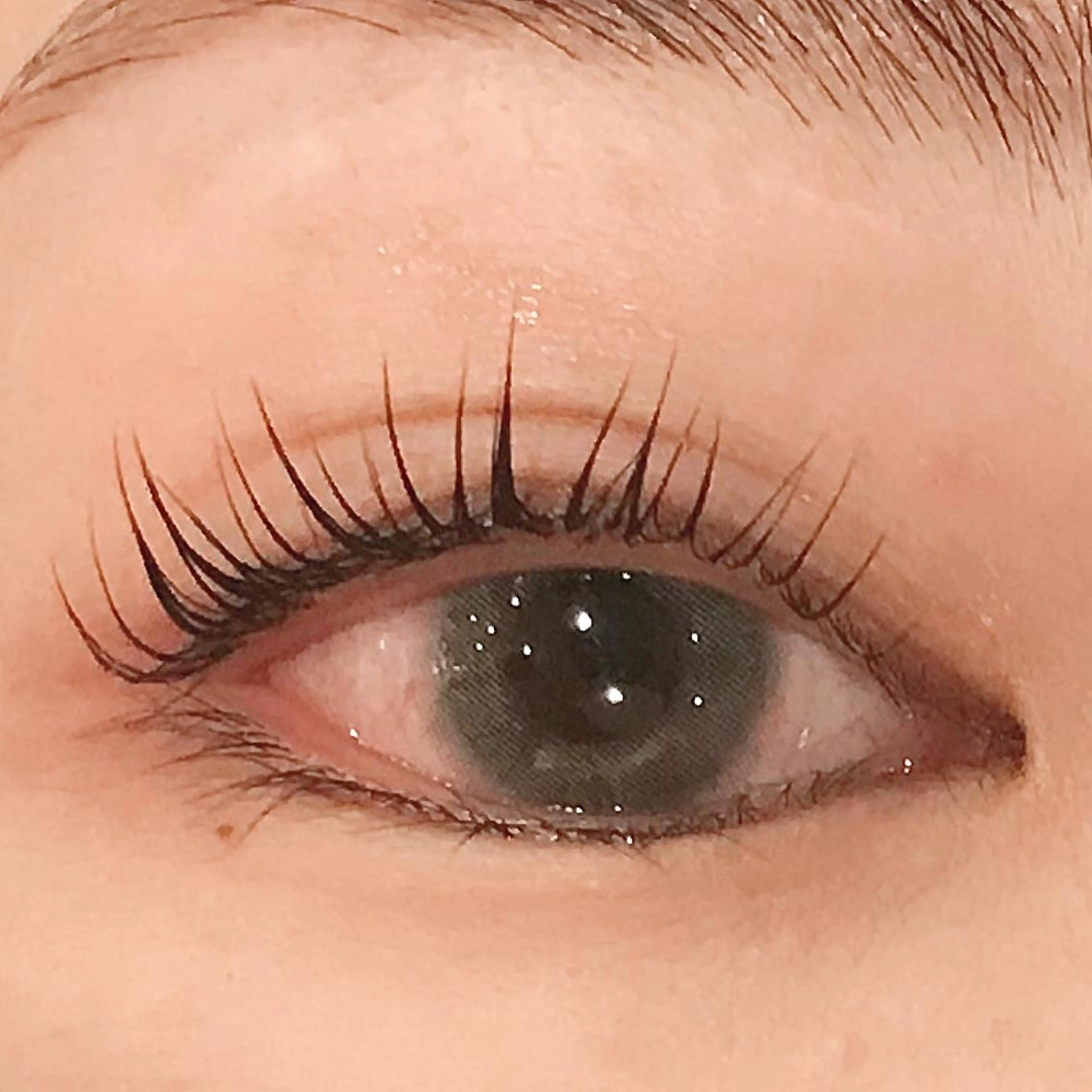 マツエク・マツパ パリジェンヌラッシュリフト マツパ 武田 楓のマツエク・マツパデザイン