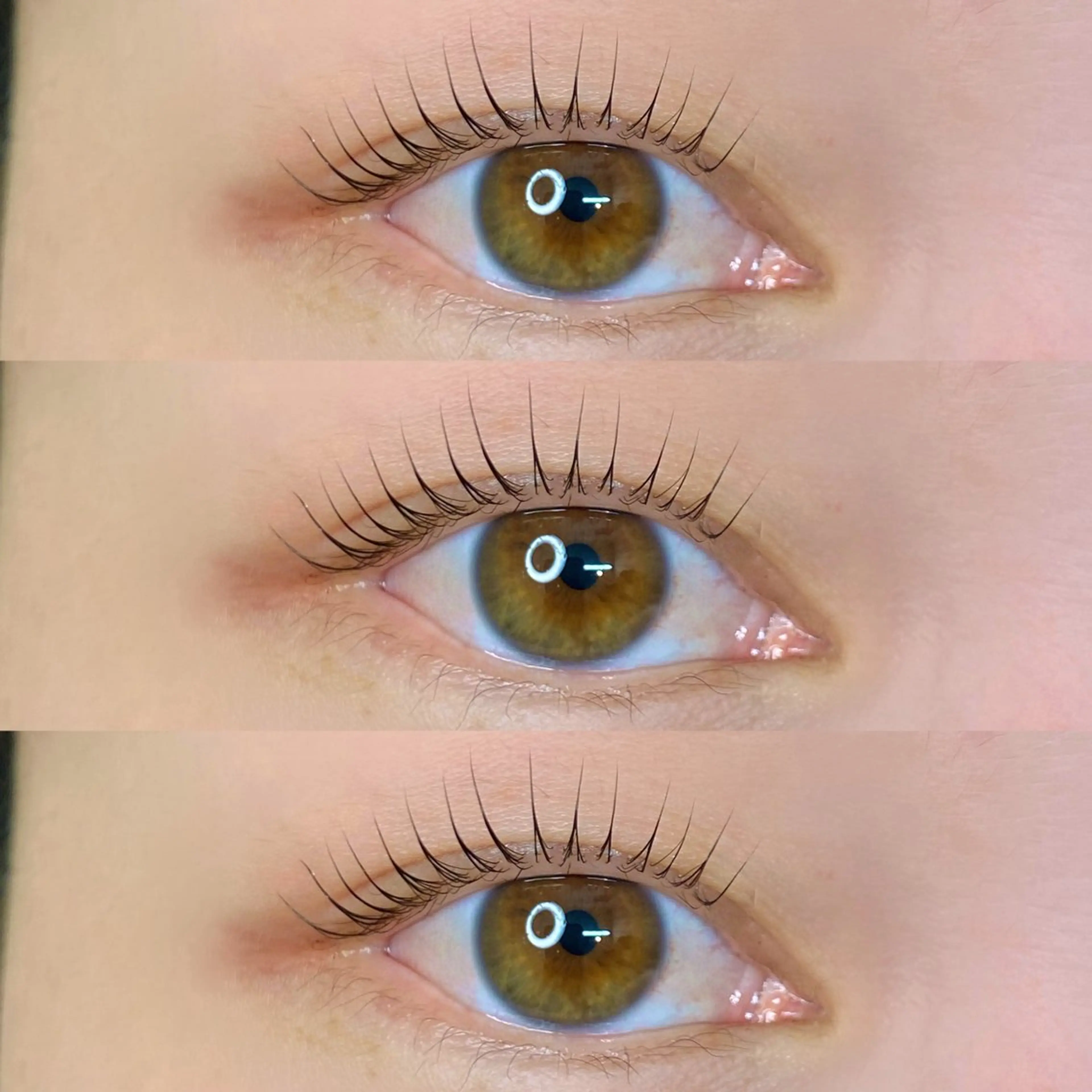 マツエク・マツパ パリジェンヌラッシュリフト FILUMIA.所属・FILU MIA.のマツエク・マツパデザイン