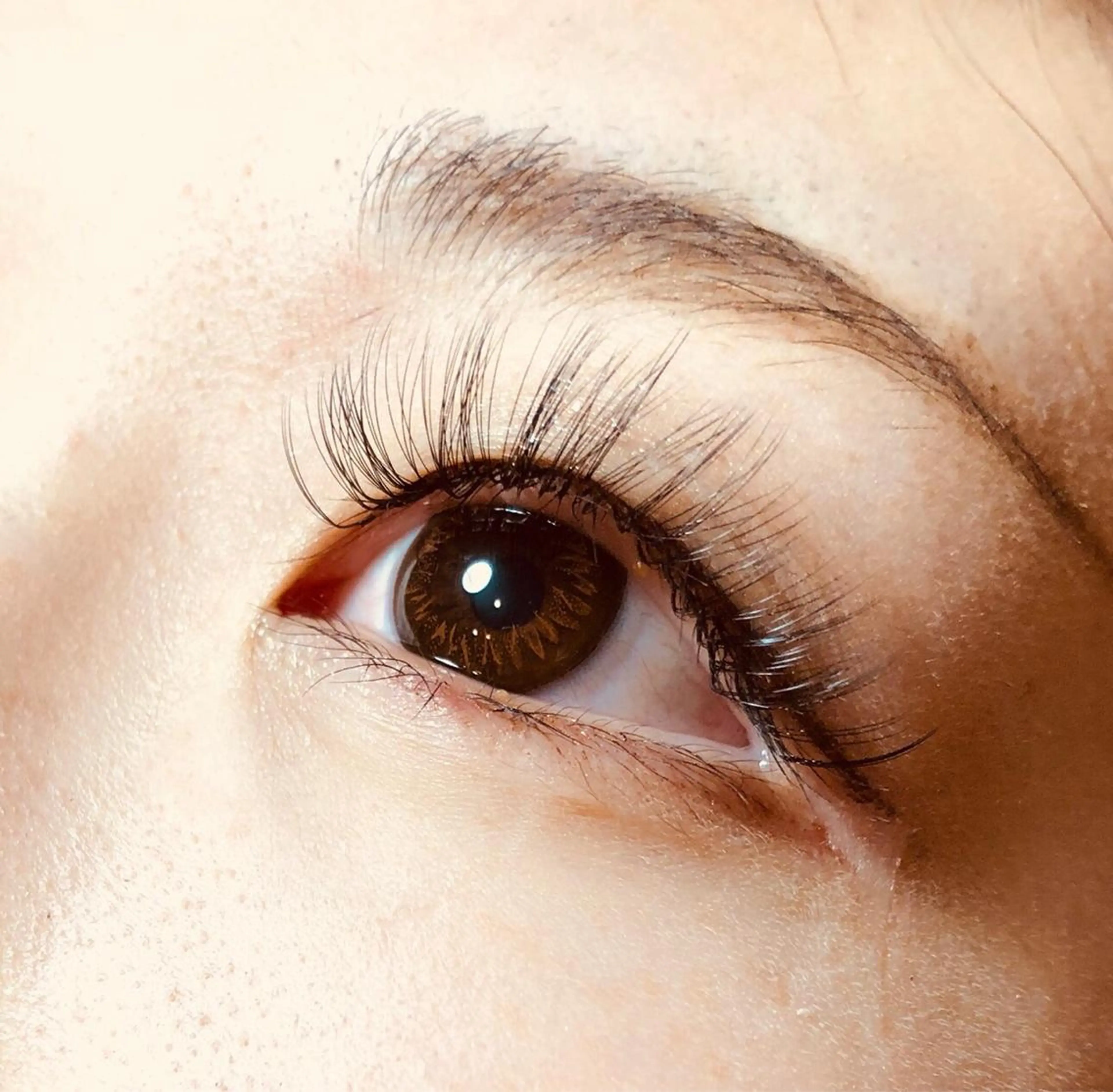 【特別価格🌺】シングル60分つけ放題（最大100本)の写真