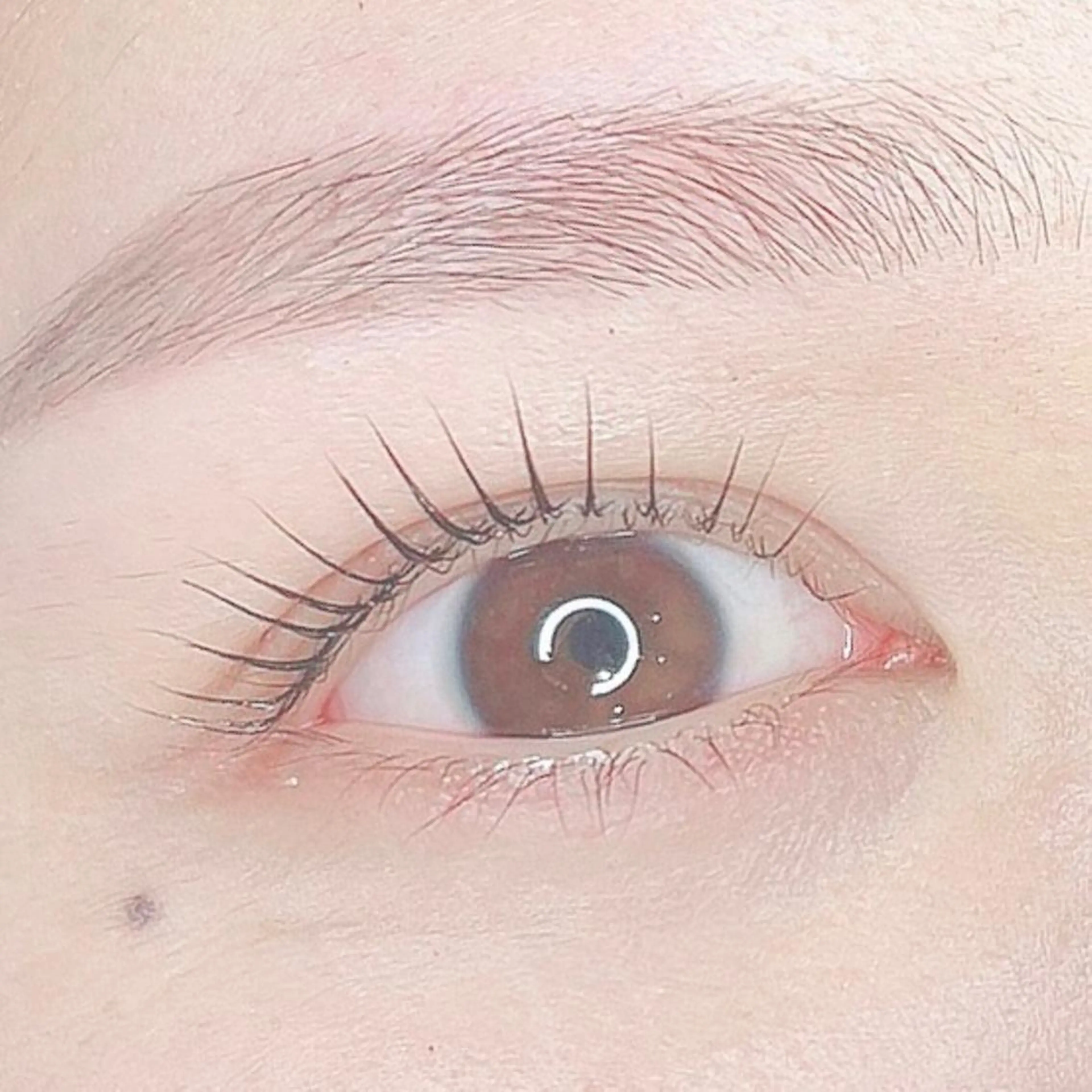 マツエク・マツパ chouchou 柏西口店 店長 渡辺の眉毛・アイブロウイメージ