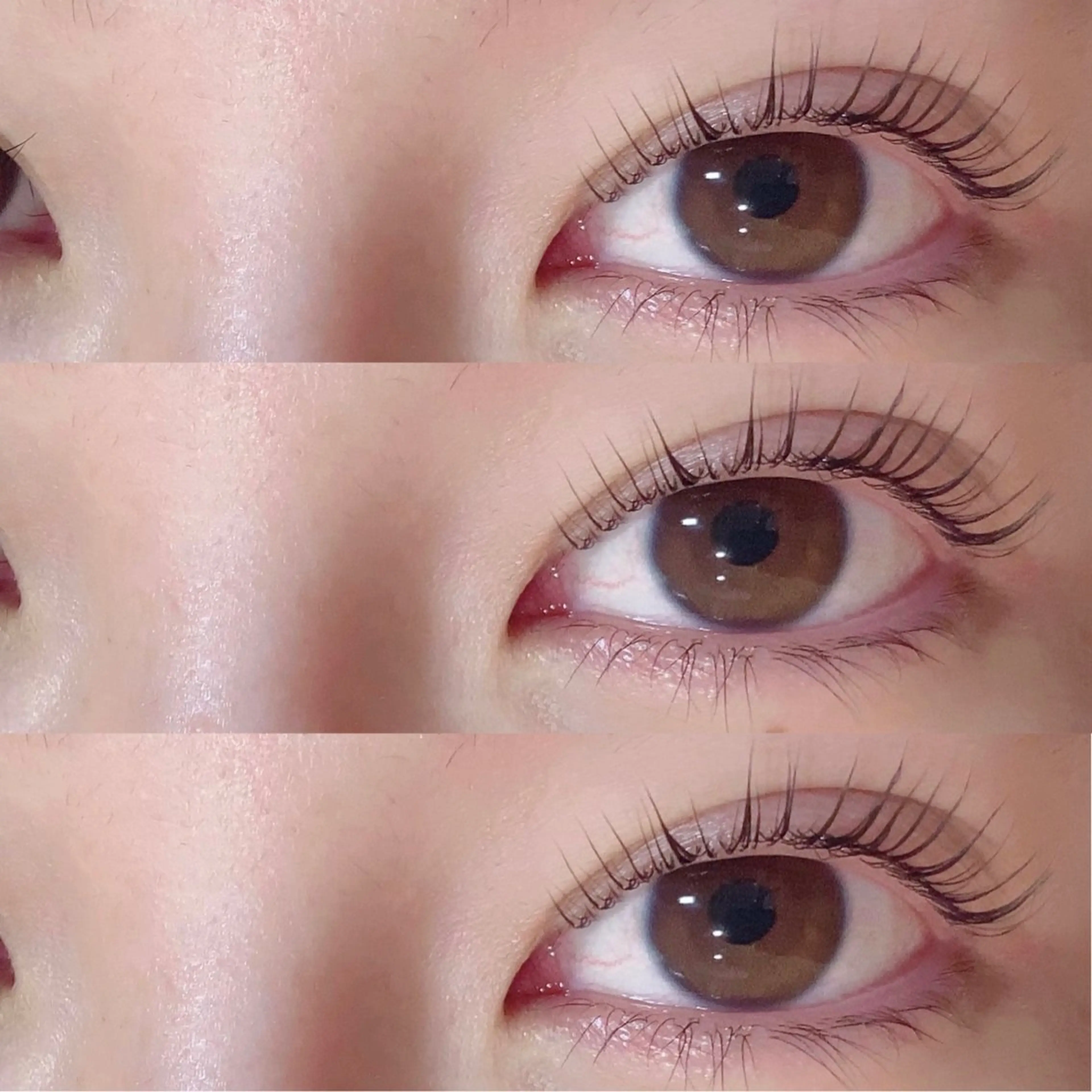 マツエク・マツパ パリジェンヌラッシュリフト マツパ Carat所属・Carat　南柏店 岸本のマツエク・マツパデザイン