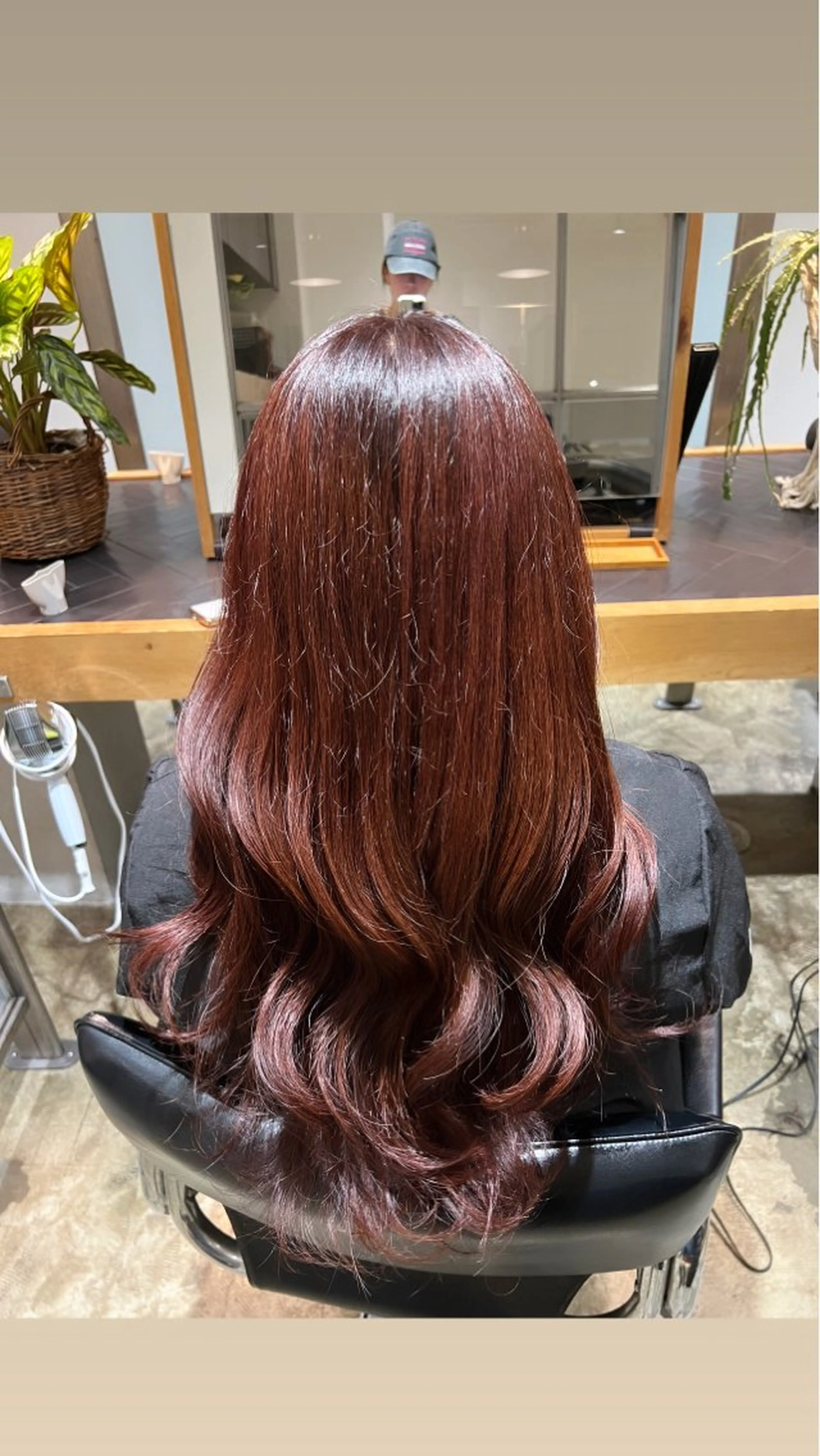 🎀グレーカラー(白髪染め)フル🫧の写真