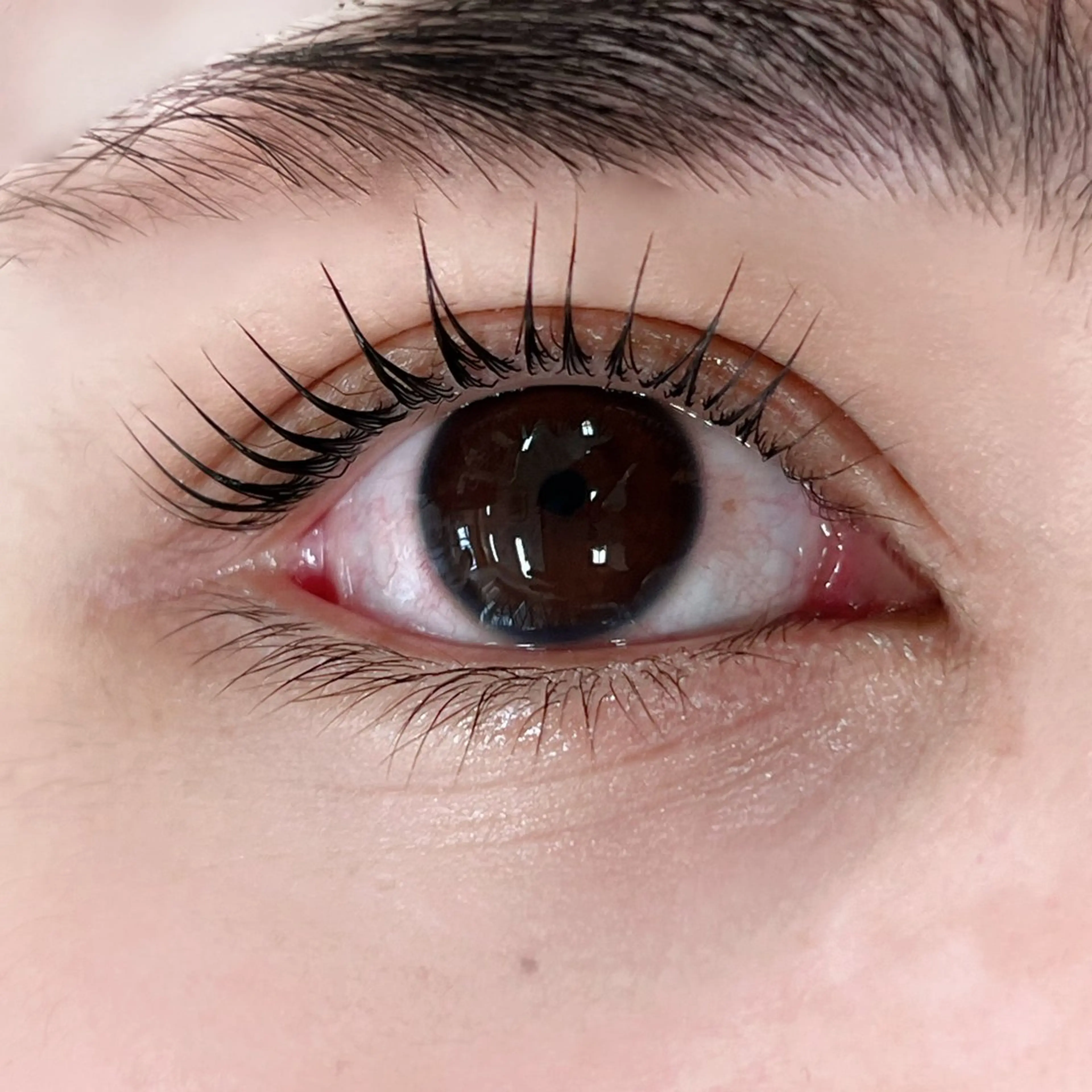 マツエク・マツパ パリジェンヌラッシュリフト R🌹 ⁺⊹˚.のマツエク・マツパデザイン