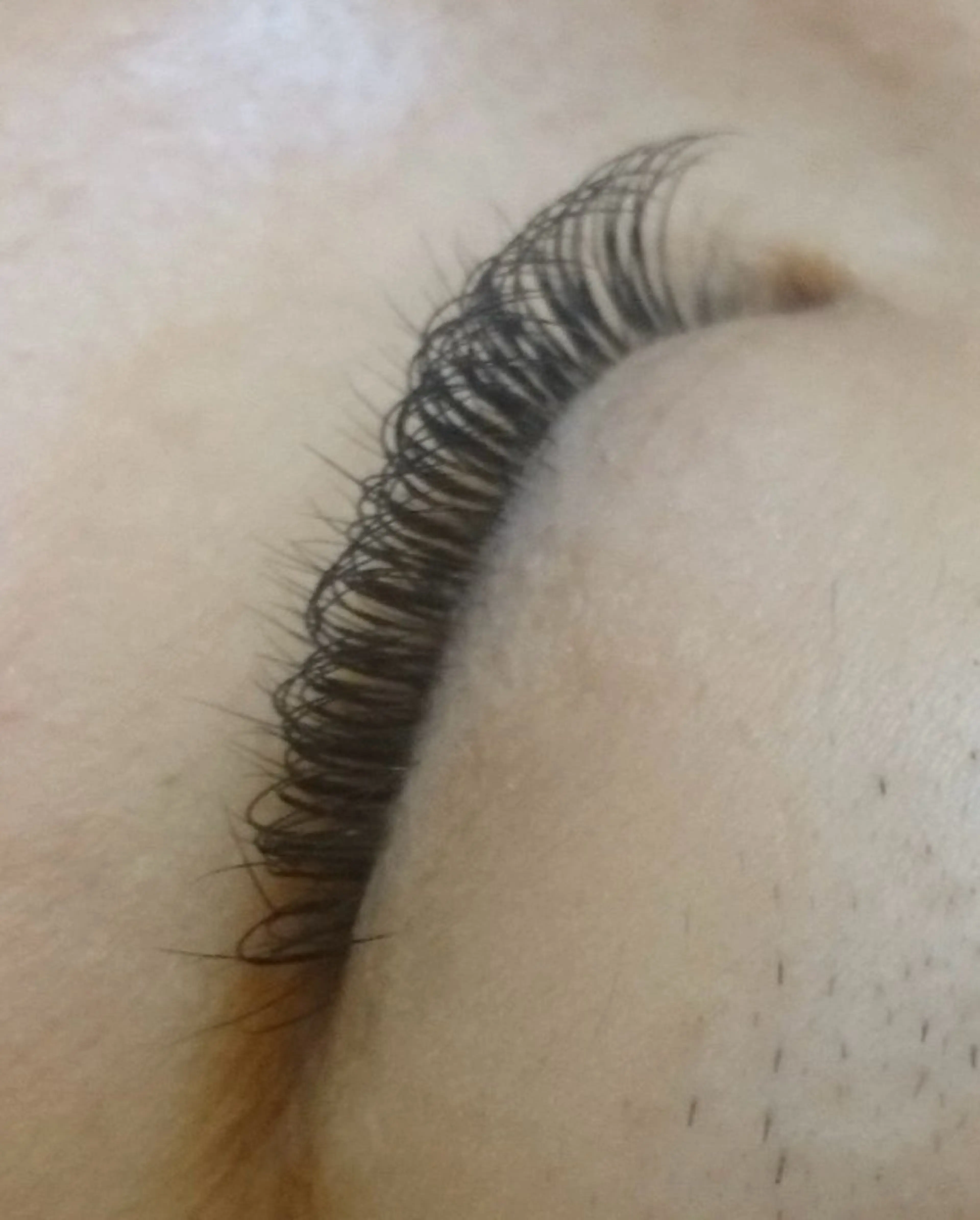 ボリュームラッシュ付け放題(オフ込み)の写真