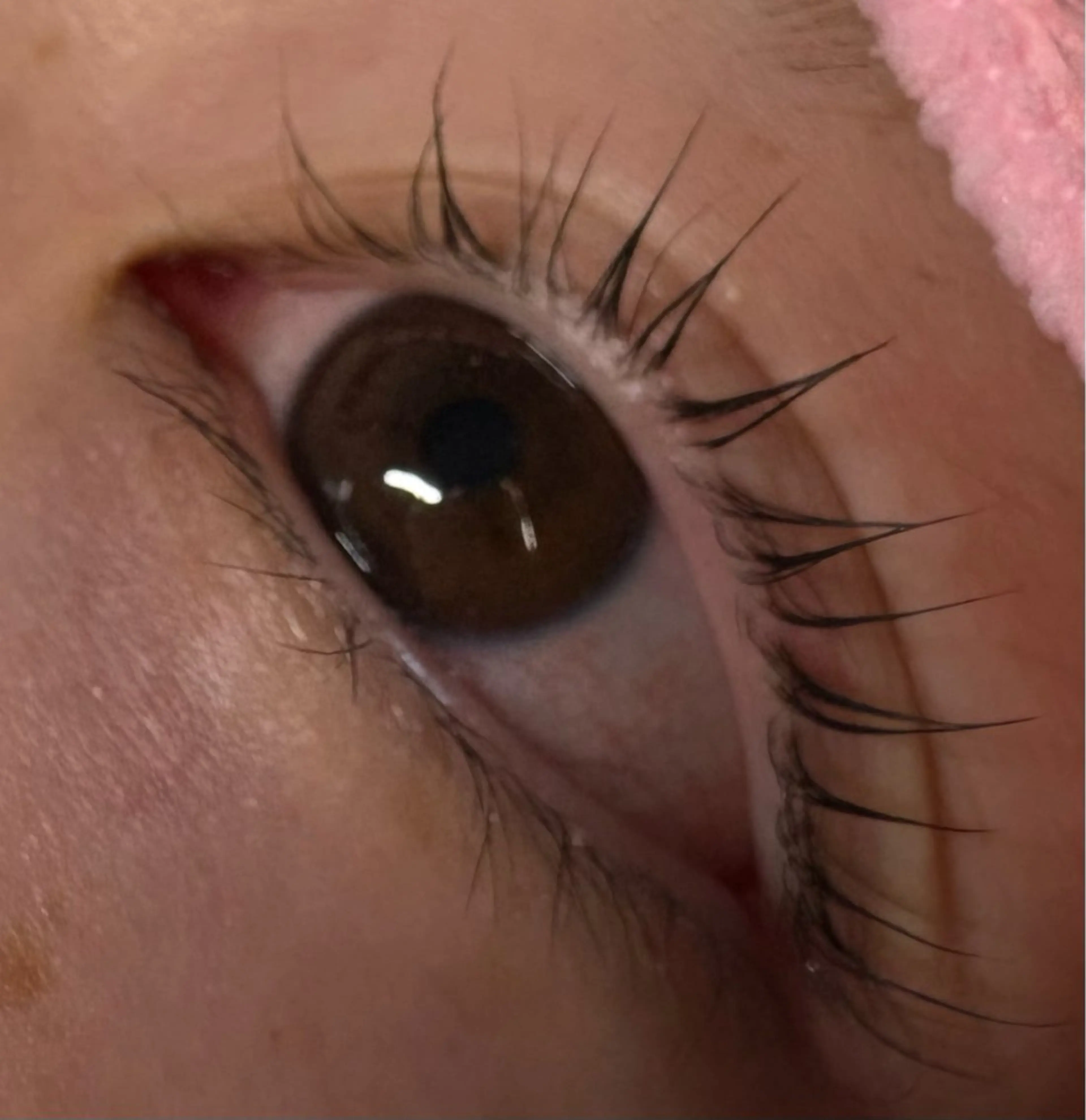 マツエク・マツパ トータルビューティー サロン・Ｎの眉毛・アイブロウイメージ