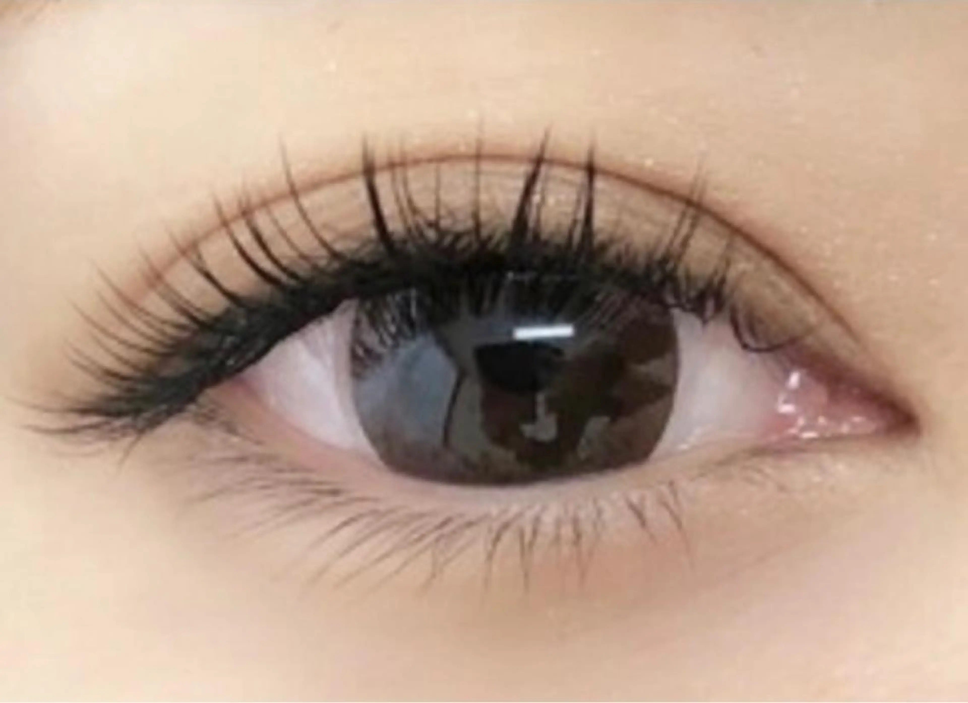 【初回オフ無料】フラットラッシュエクステ100本の写真