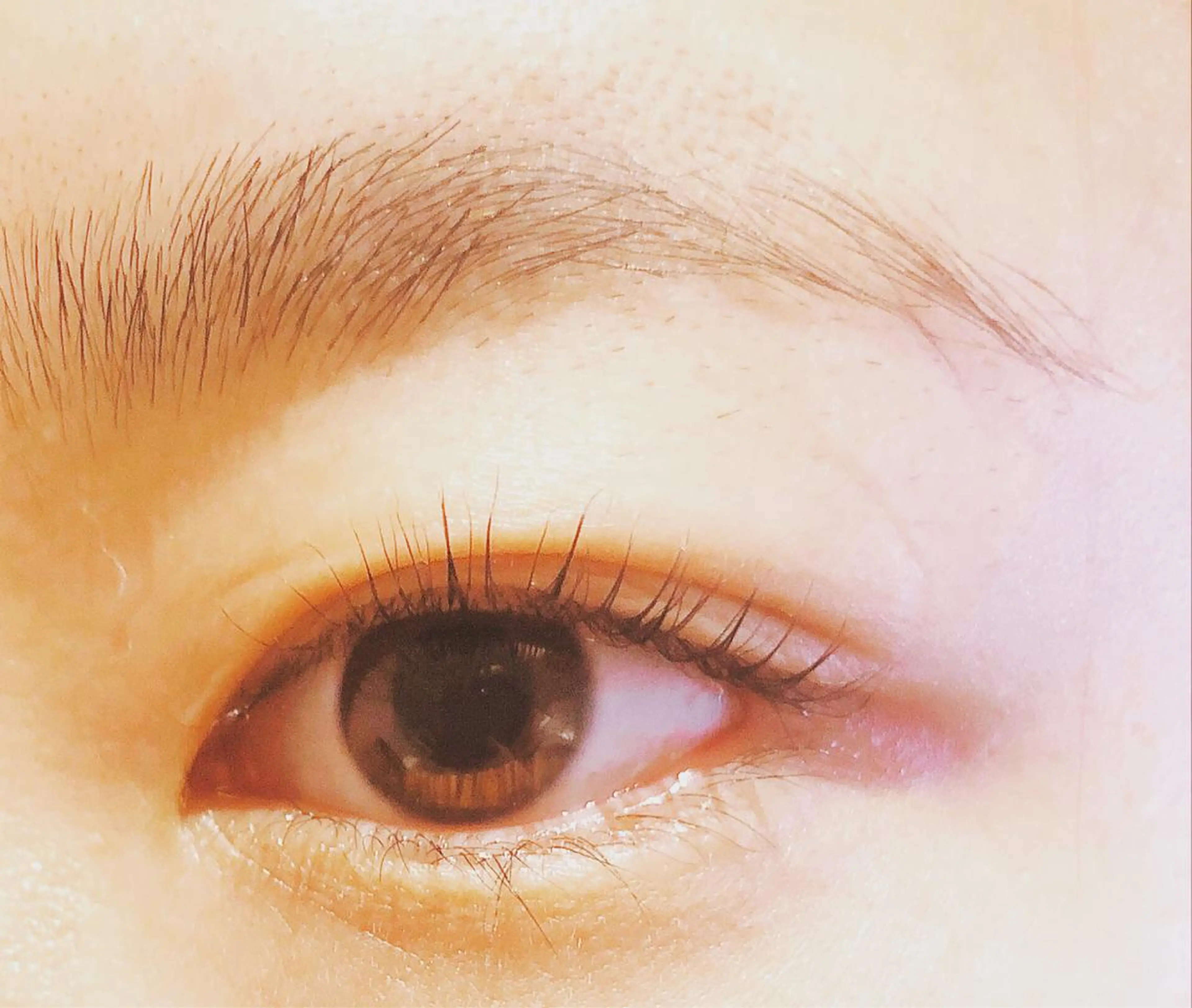 マツエク・マツパ eclat eyelashのマツエク・マツパデザイン