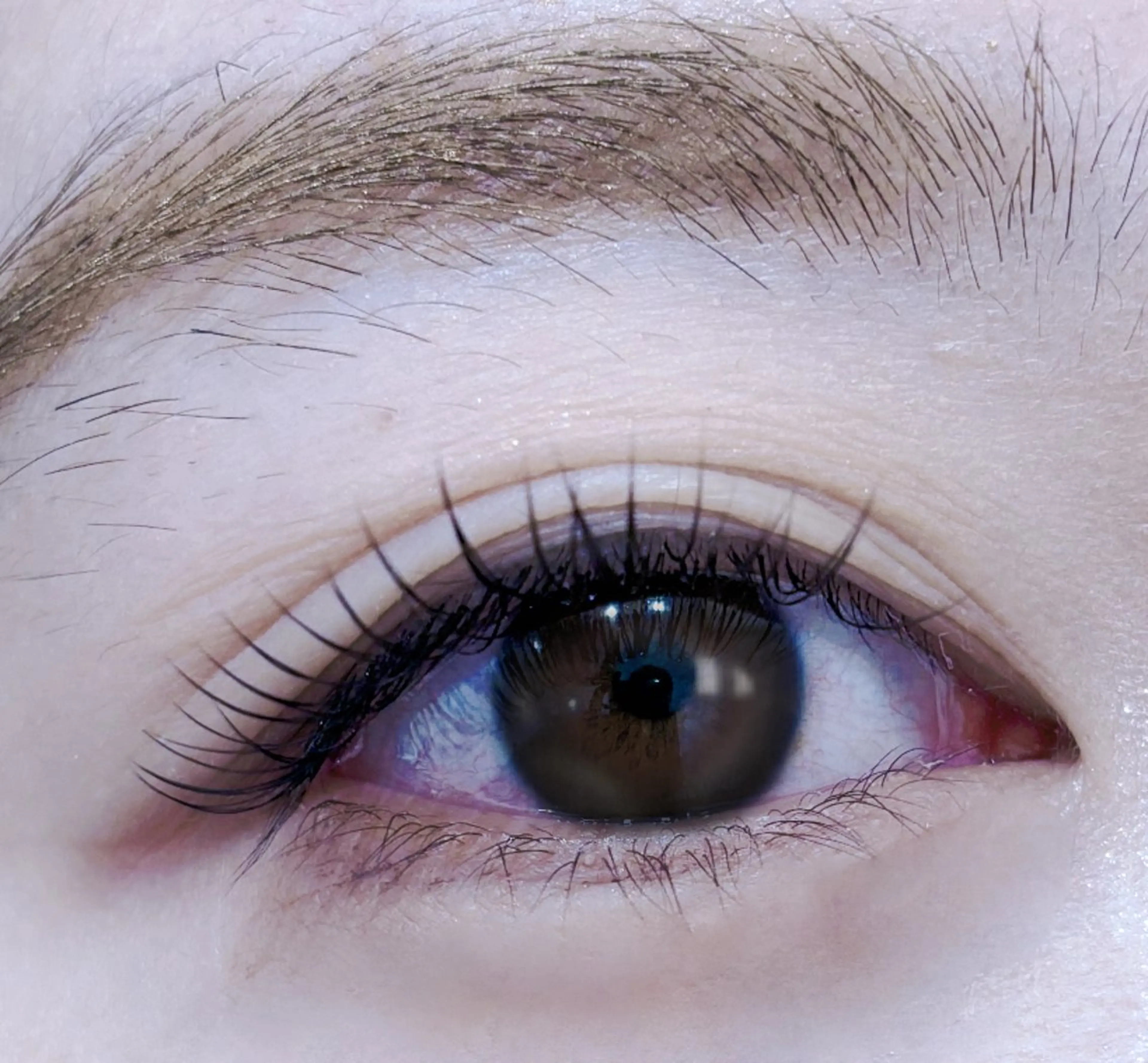 マツエク・マツパ マツエク EMA BEAUTY マツエクサロン池袋店のマツエク・マツパデザイン