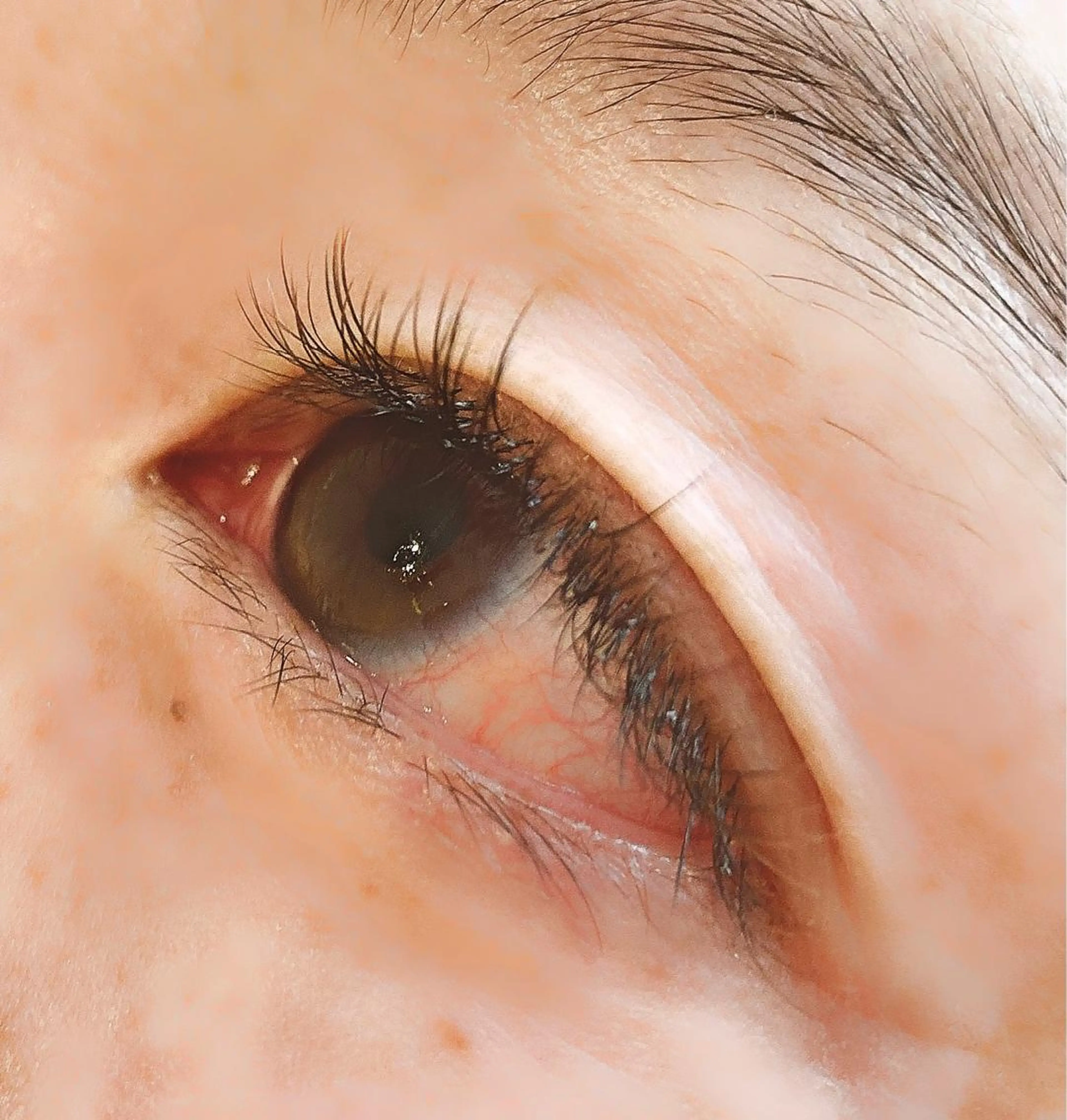 マツエク・マツパ カラーマツエク フラットラッシュ L'Allure所属・野上 好乃のマツエク・マツパデザイン