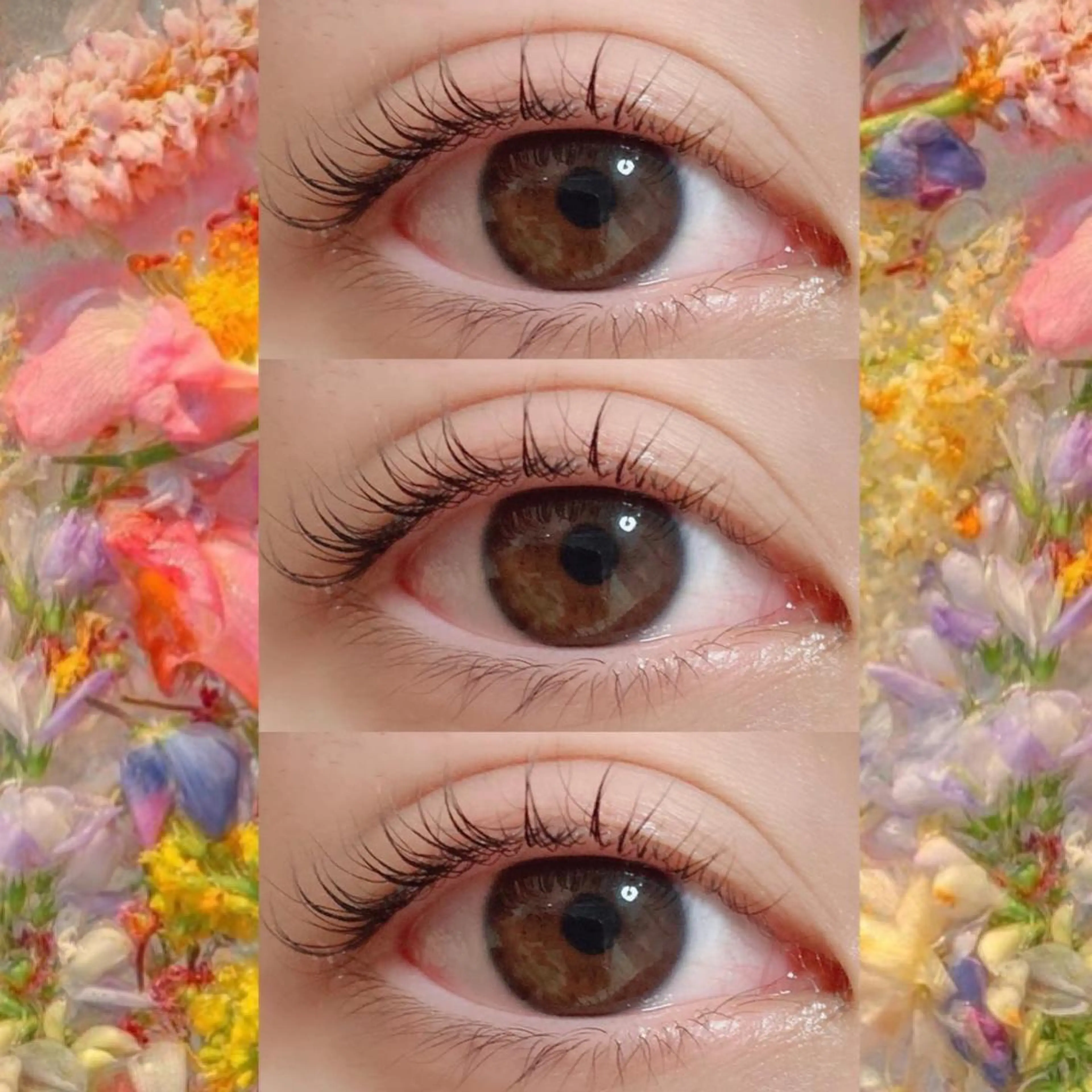 マツエク・マツパ ブラウンラッシュ カラーマツエク フラットラッシュ 韓国風マツエク まつげパーマ マツパ orihara𐙚 まつげパーマ/眉毛のマツエク・マツパデザイン