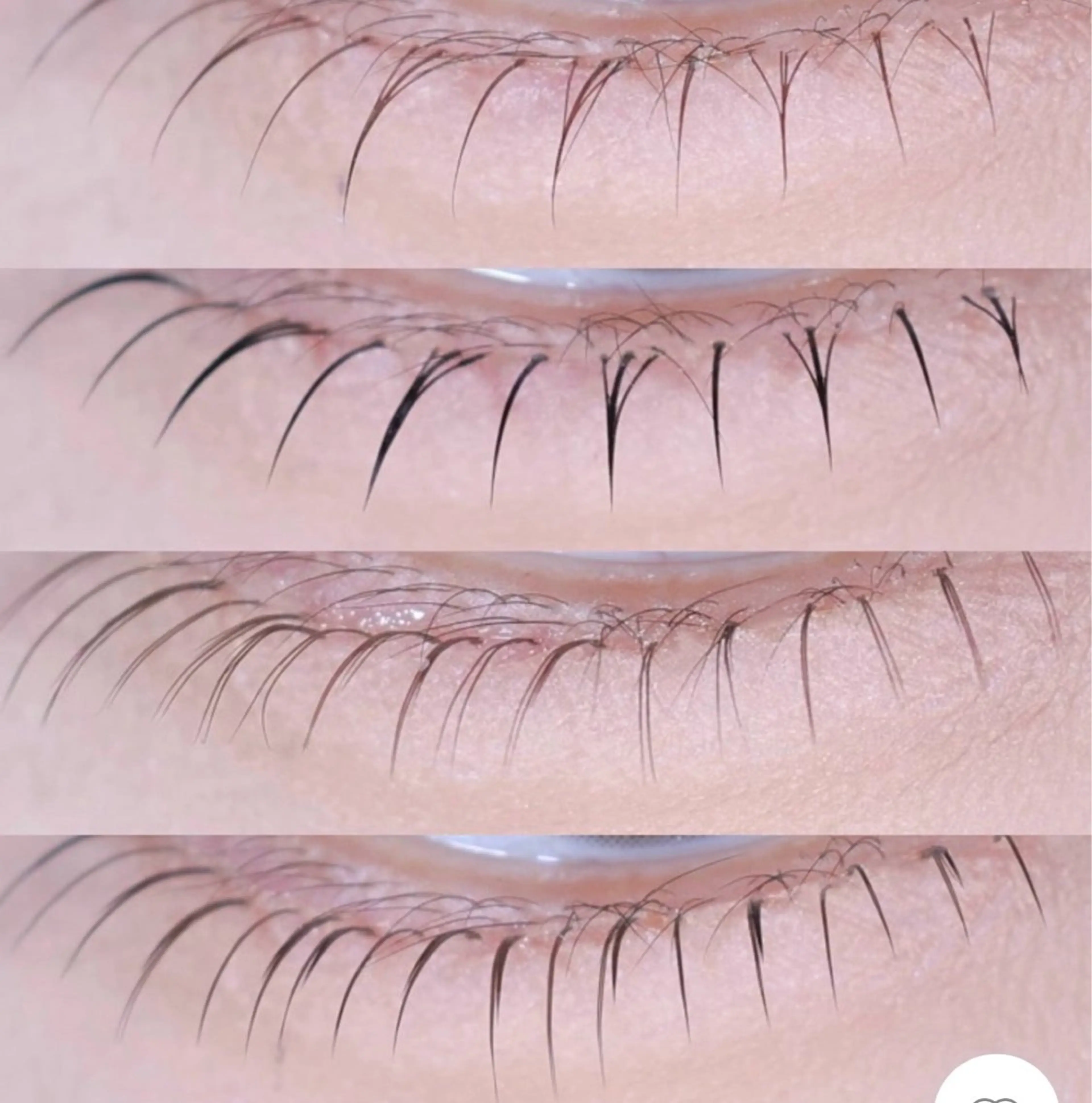 【ミニモ限定】≪LEDまたはグルー≫下のみマツエク40本まで　¥1990の写真