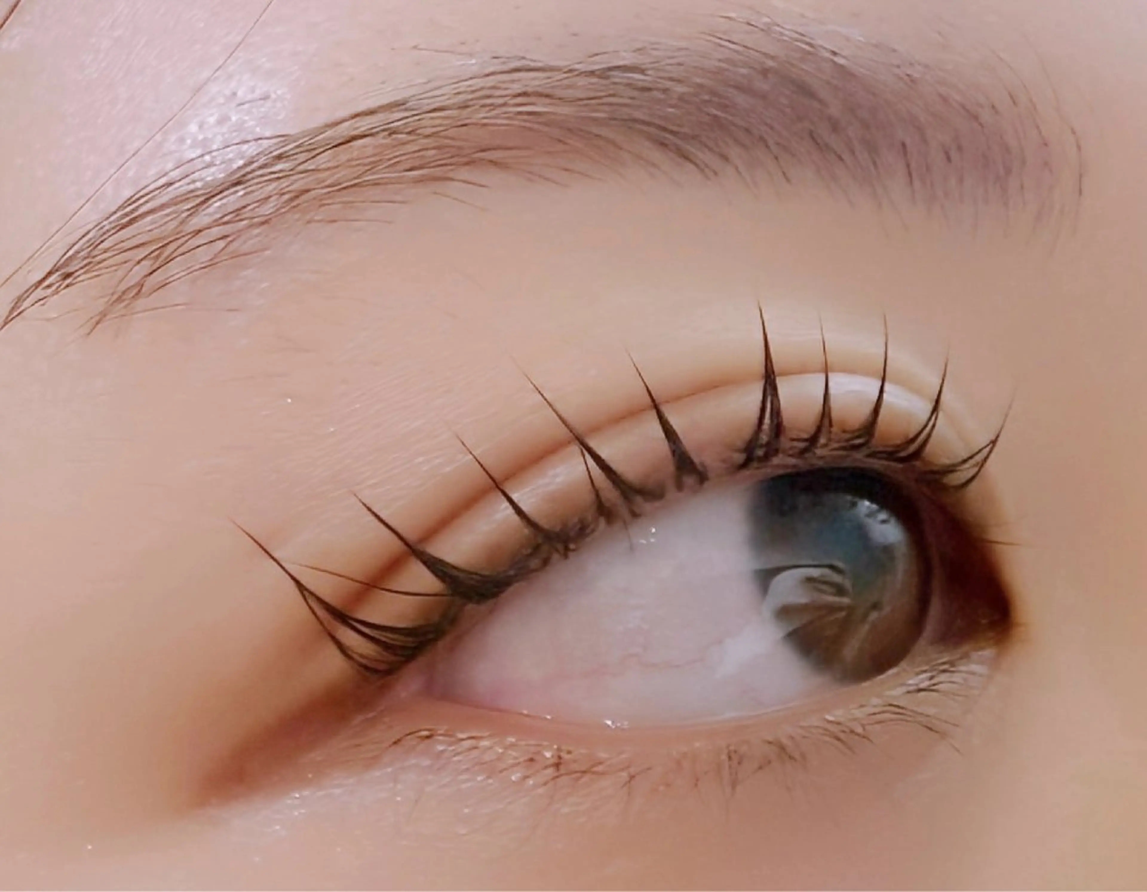 マツエク・マツパ パリジェンヌラッシュリフト EYELA 𝑴𝑨𝑯𝑶🍒の眉毛・アイブロウイメージ