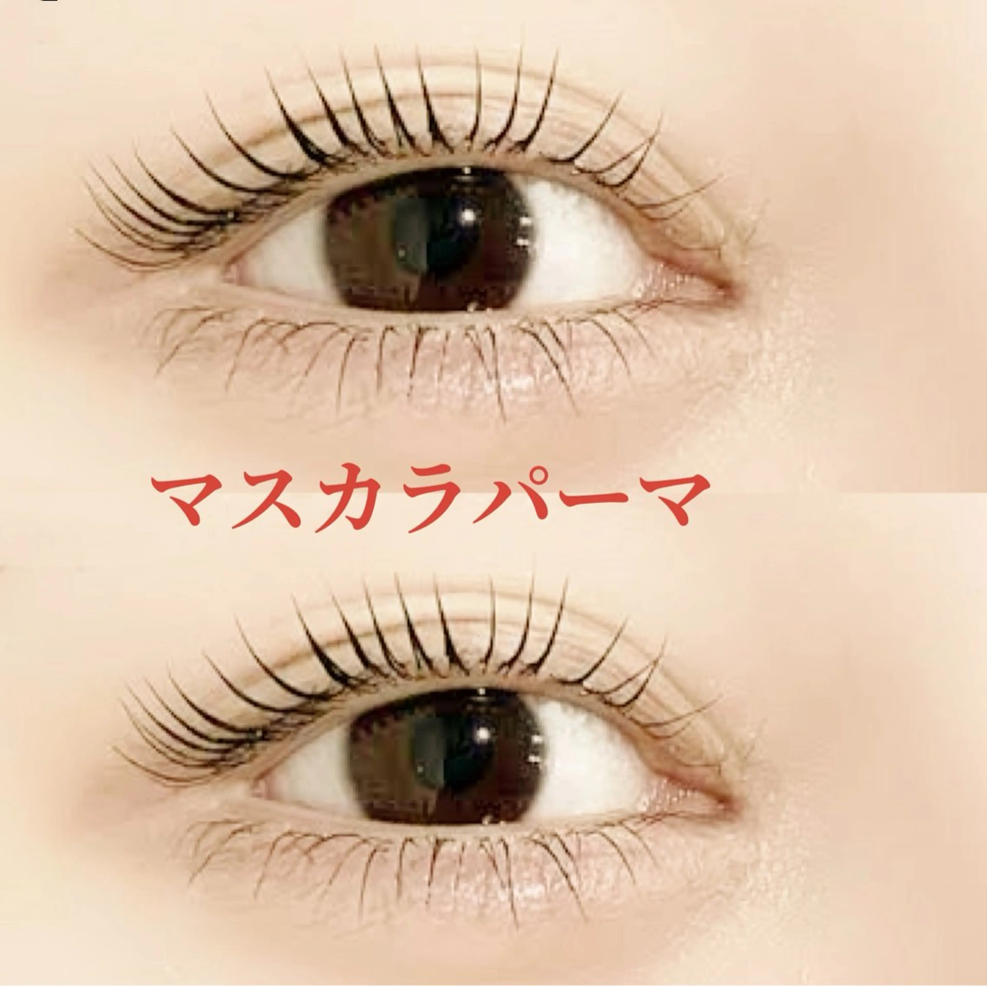 マツエク・マツパ CLEA所属・まつげ＆眉毛CLEA 心斎橋YUKIの眉毛・アイブロウイメージ