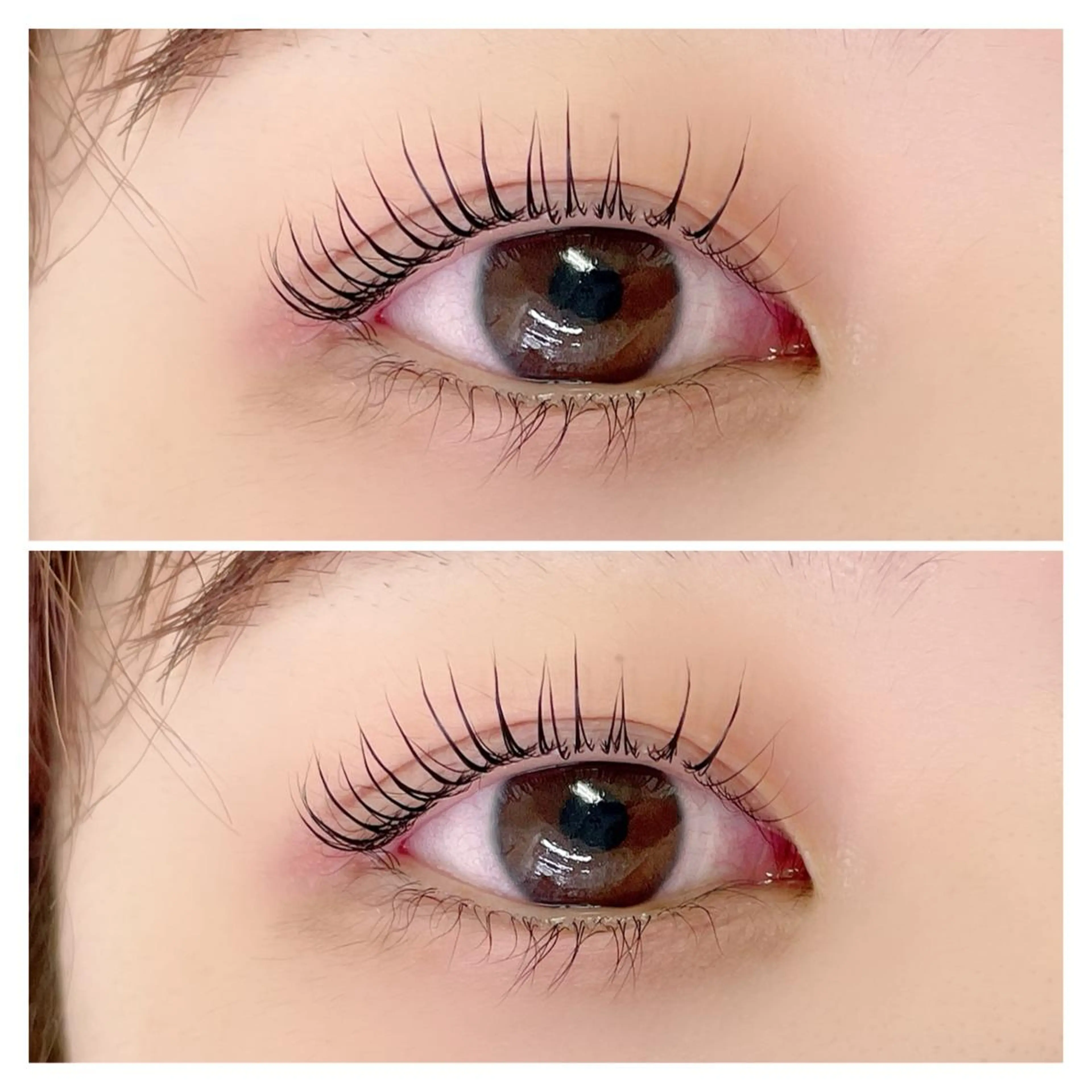 🤍パリジェンヌラッシュリフト🤍の写真