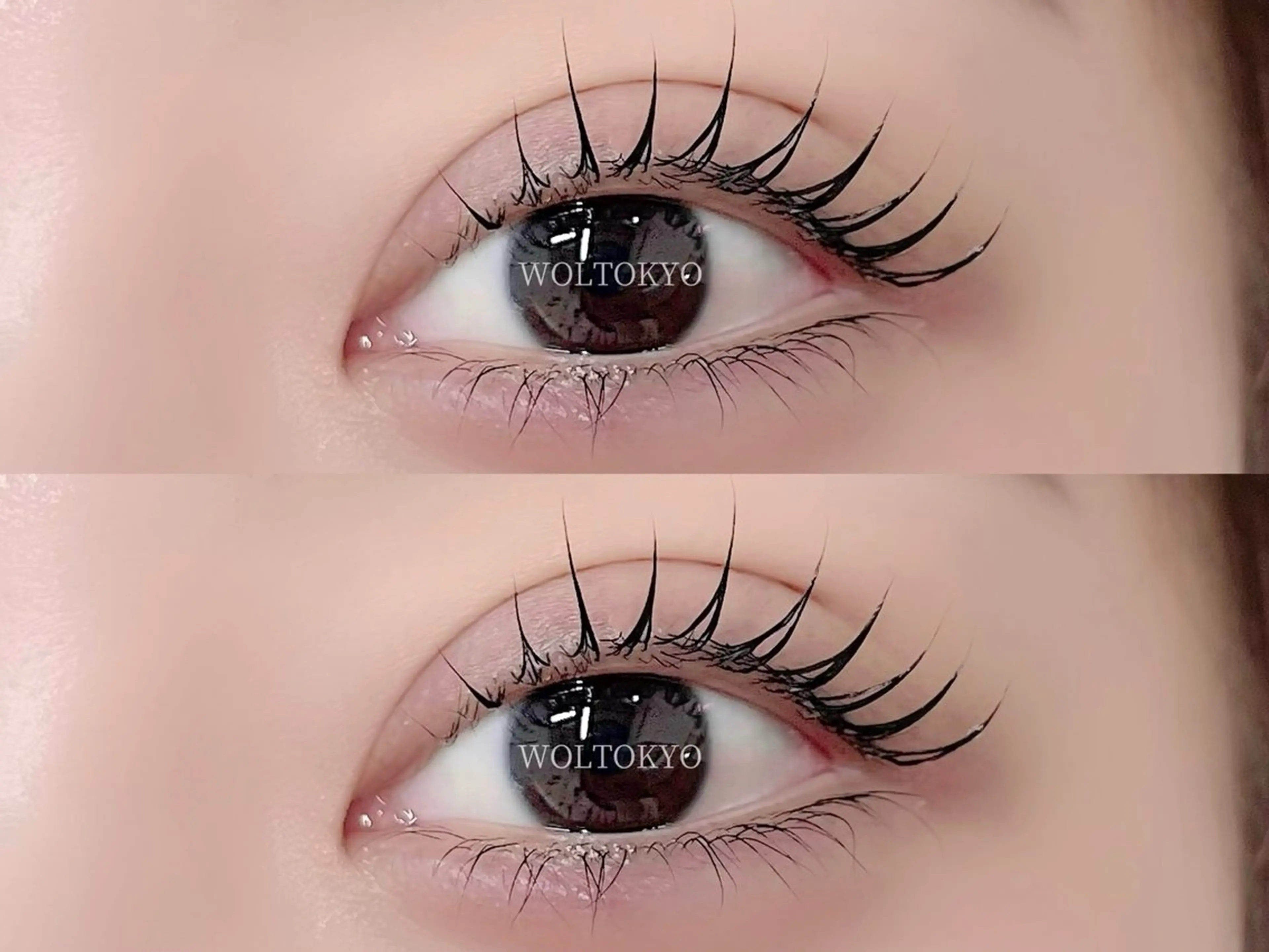 💖パリジェンヌorラッシュリフト💖 ➕Trコーティング付き🌟の写真