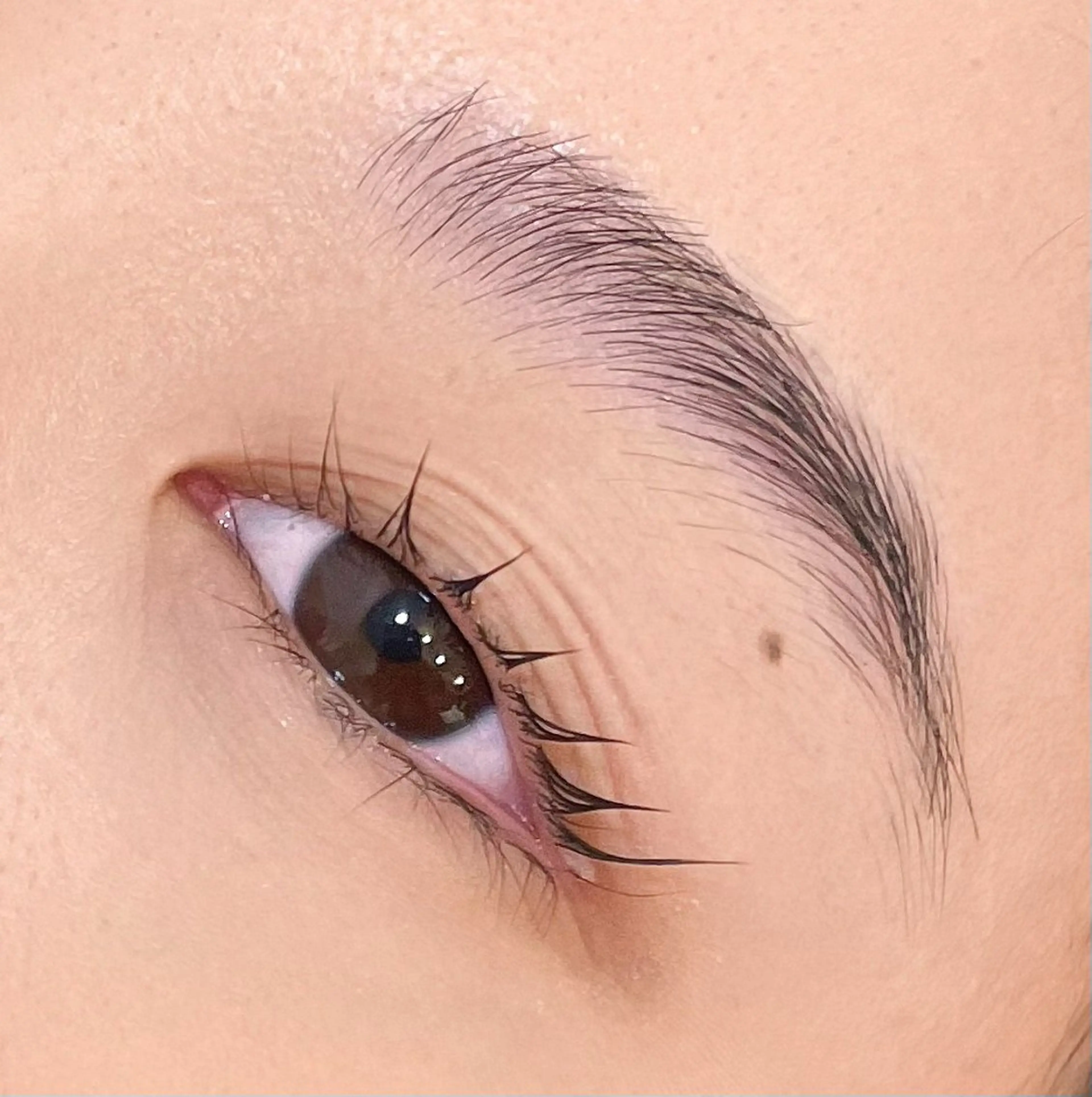 マツエク・マツパ EYELA(アイラ)柏店所属・👑EYELA 柏／ 川村👑のマツエク・マツパデザイン