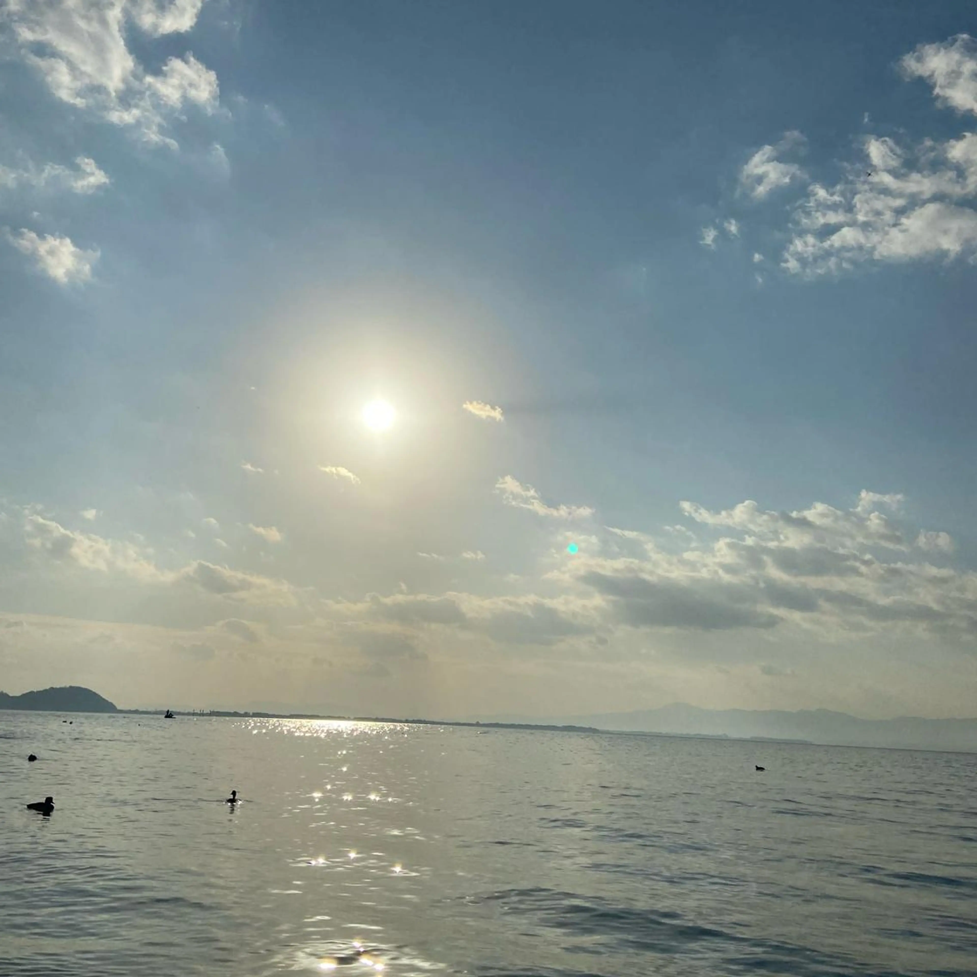 TIDEHAIR SHIHOのヘアスタイル