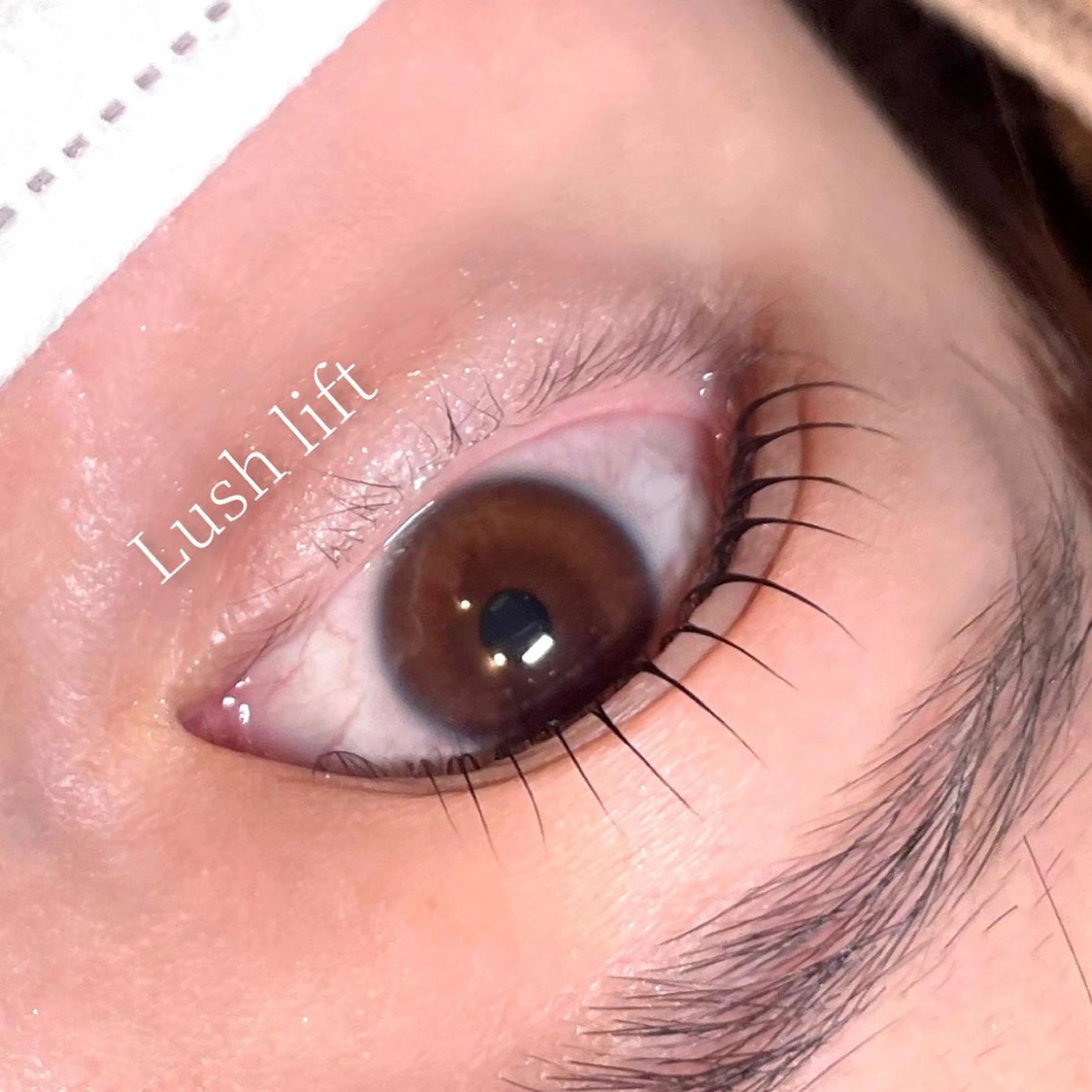 マツエク・マツパ 一重×まつ毛パーマ マツパ vallee所属・パリエクまつげパーマ /LED/中谷のマツエク・マツパデザイン