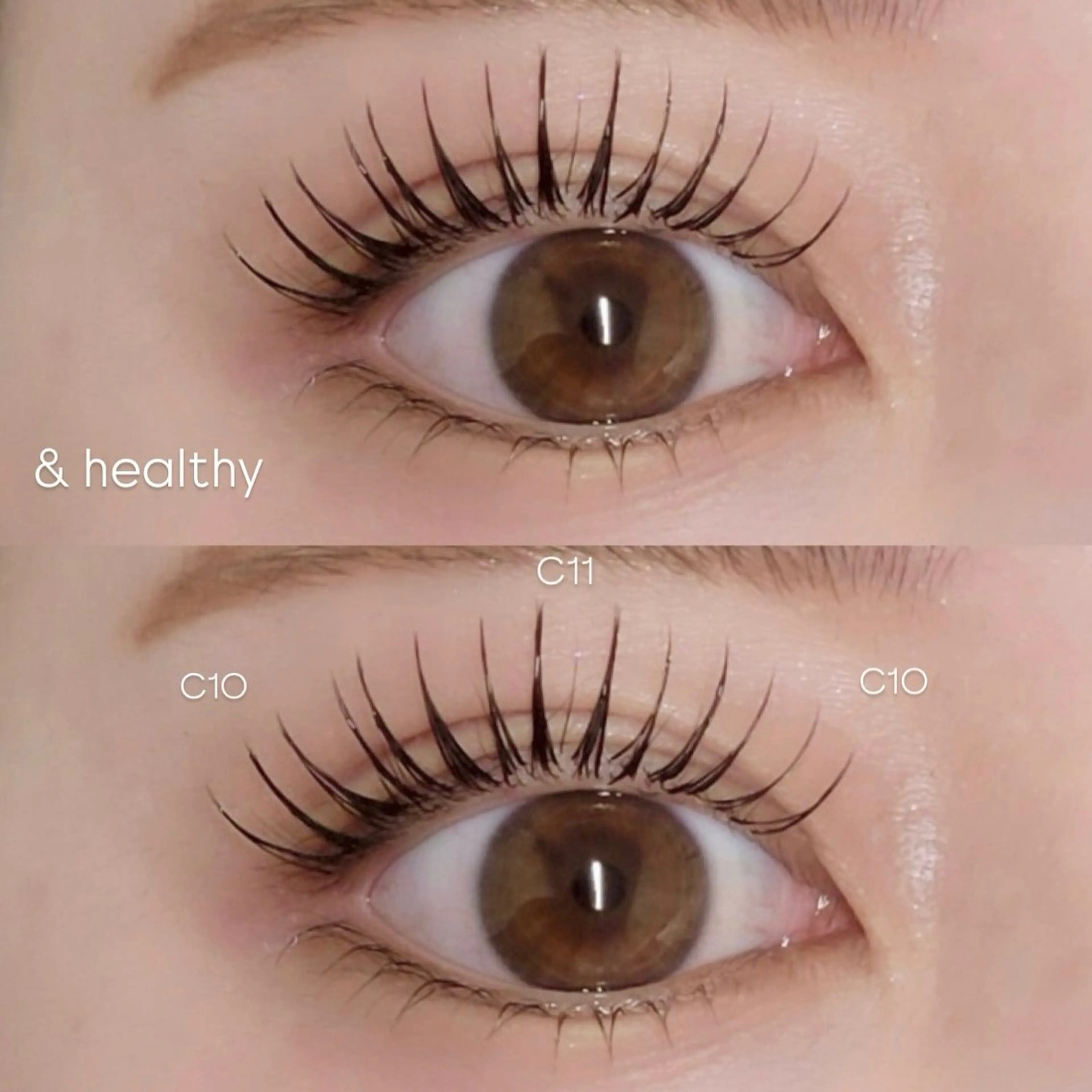 マツエク・マツパ まつげパーマ Plus Elima所属・Plus Elima / RIOのマツエク・マツパデザイン