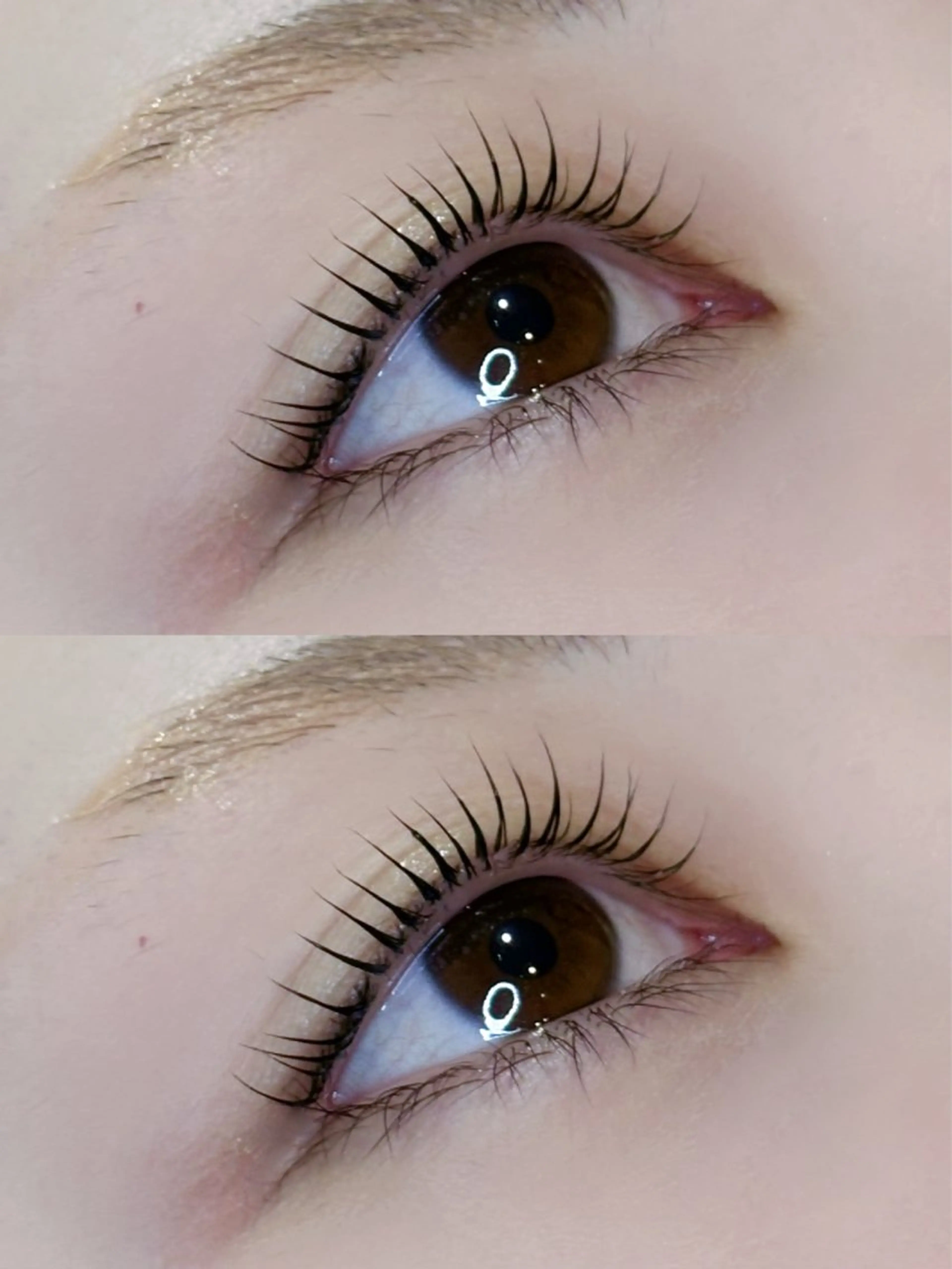 パリジェンヌ✨の写真