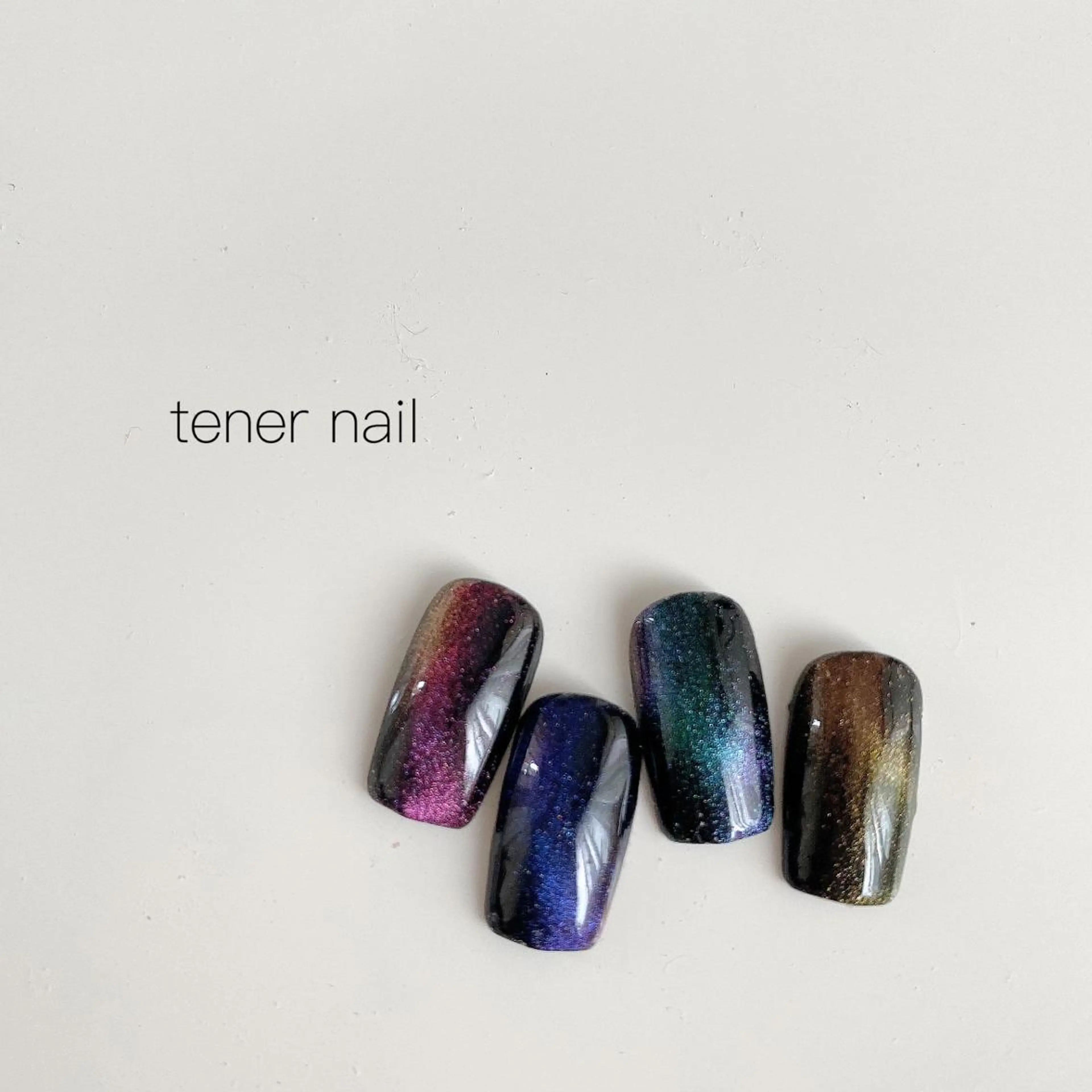 ネイル マグネットネイル tener  nail  テネルネイル所属・テネルネイル tener nailのネイルデザイン