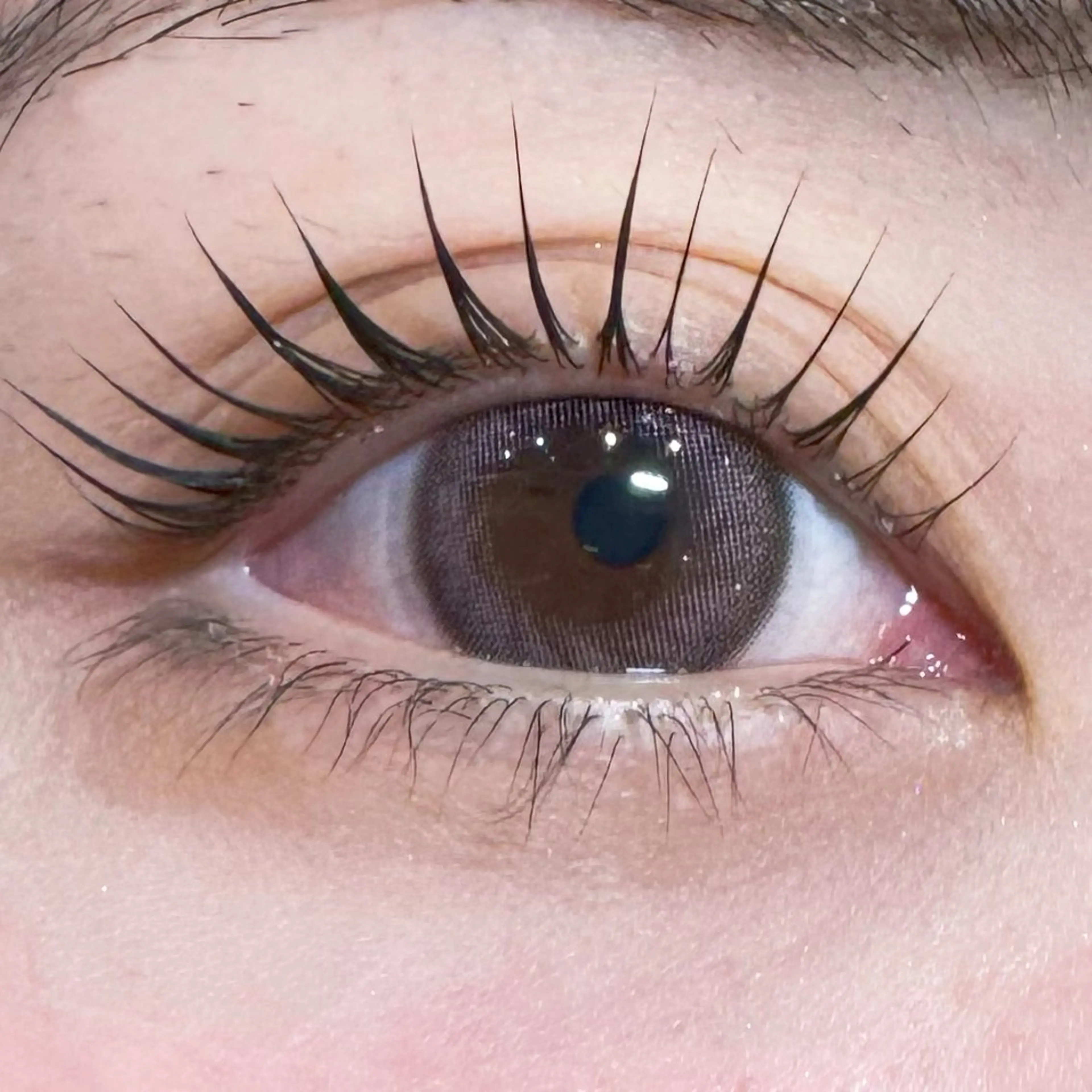 マツエク・マツパ まつげ&美眉専門店　ALPINA 阪神西宮所属・つじもとなみ ALPINA阪神西宮のマツエク・マツパデザイン