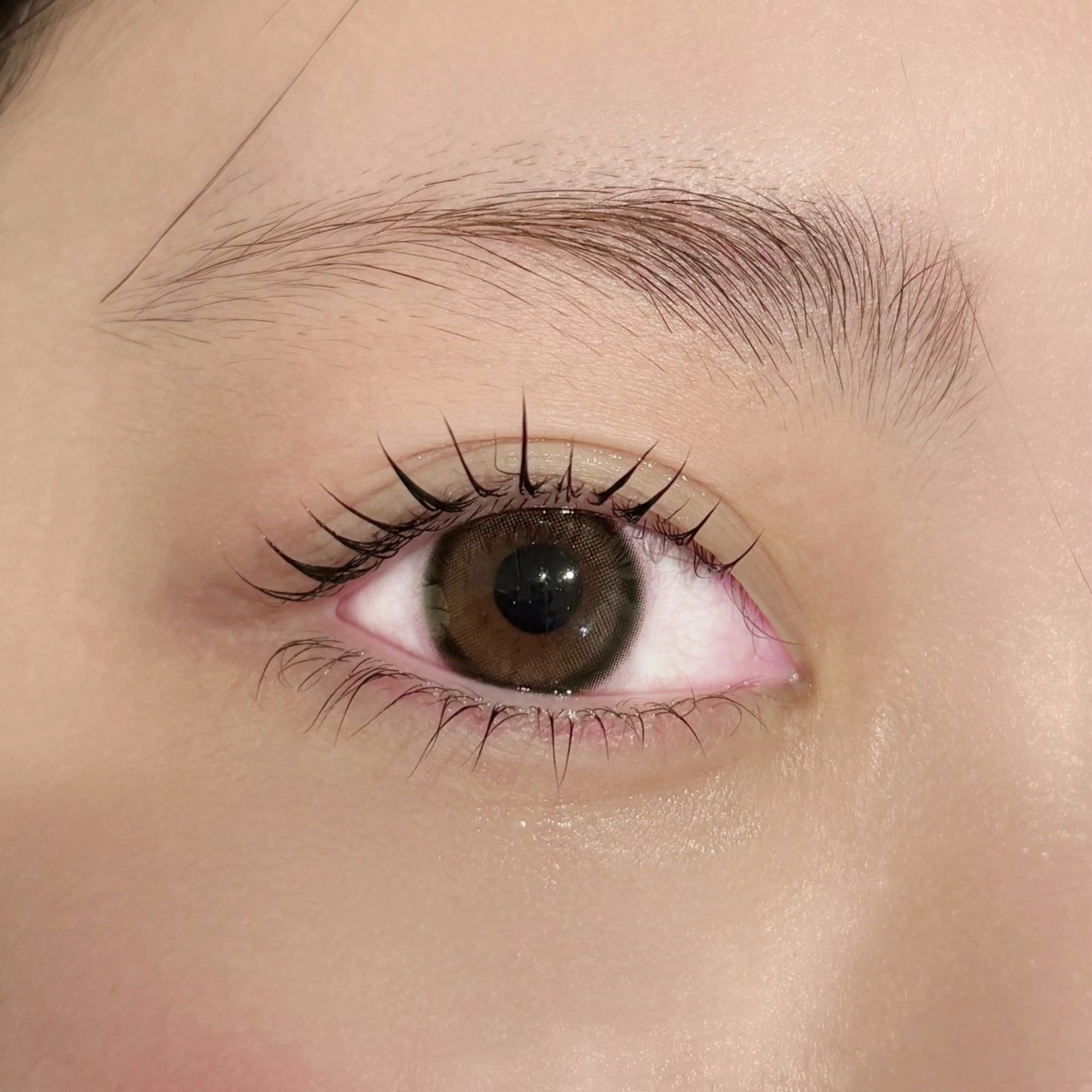 【まつげパーマ】低ダメージ⛅️パリジェンヌ上下🪄の写真