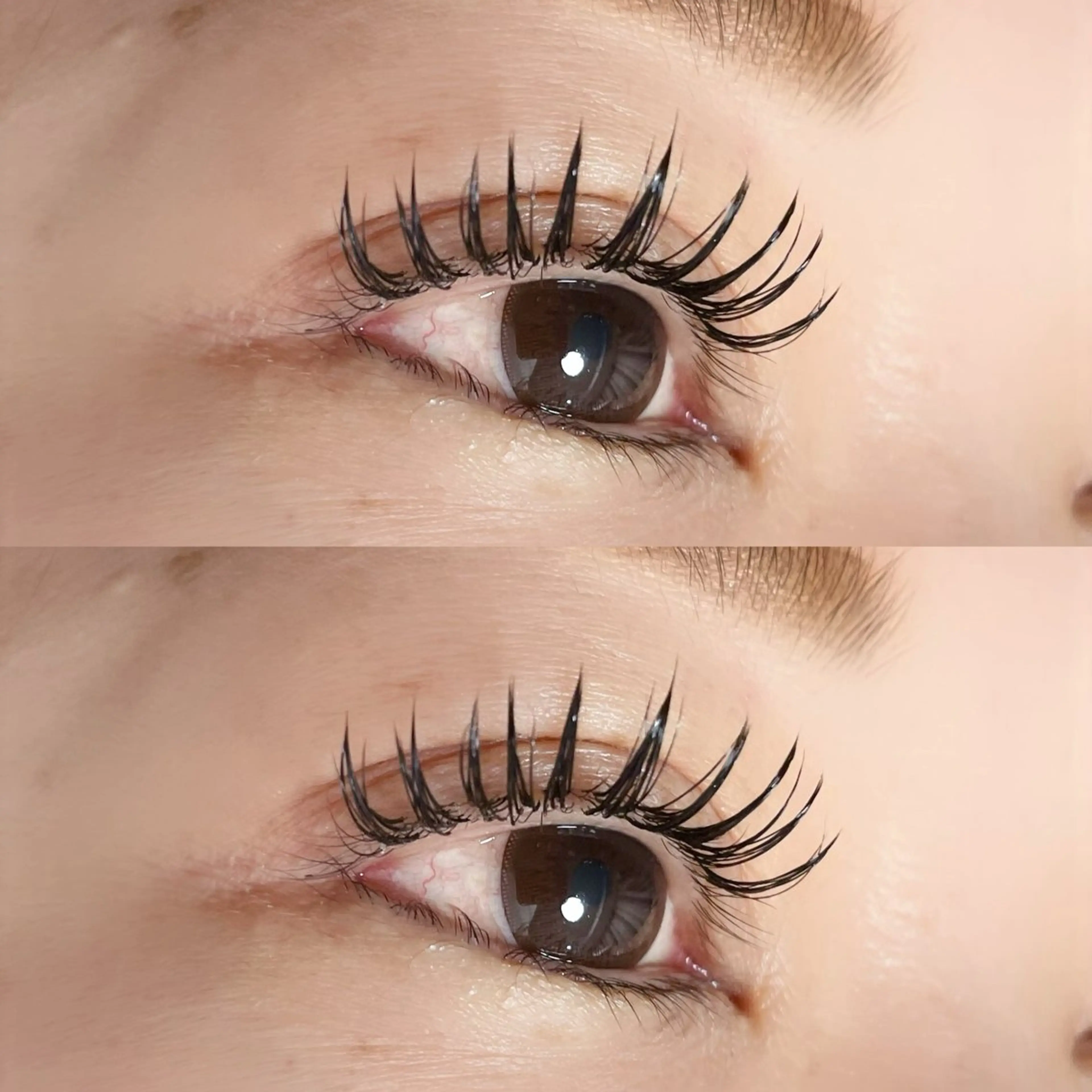 マツエク・マツパ マツエク Ayumi.dre 🌸Y《2階》のマツエク・マツパデザイン