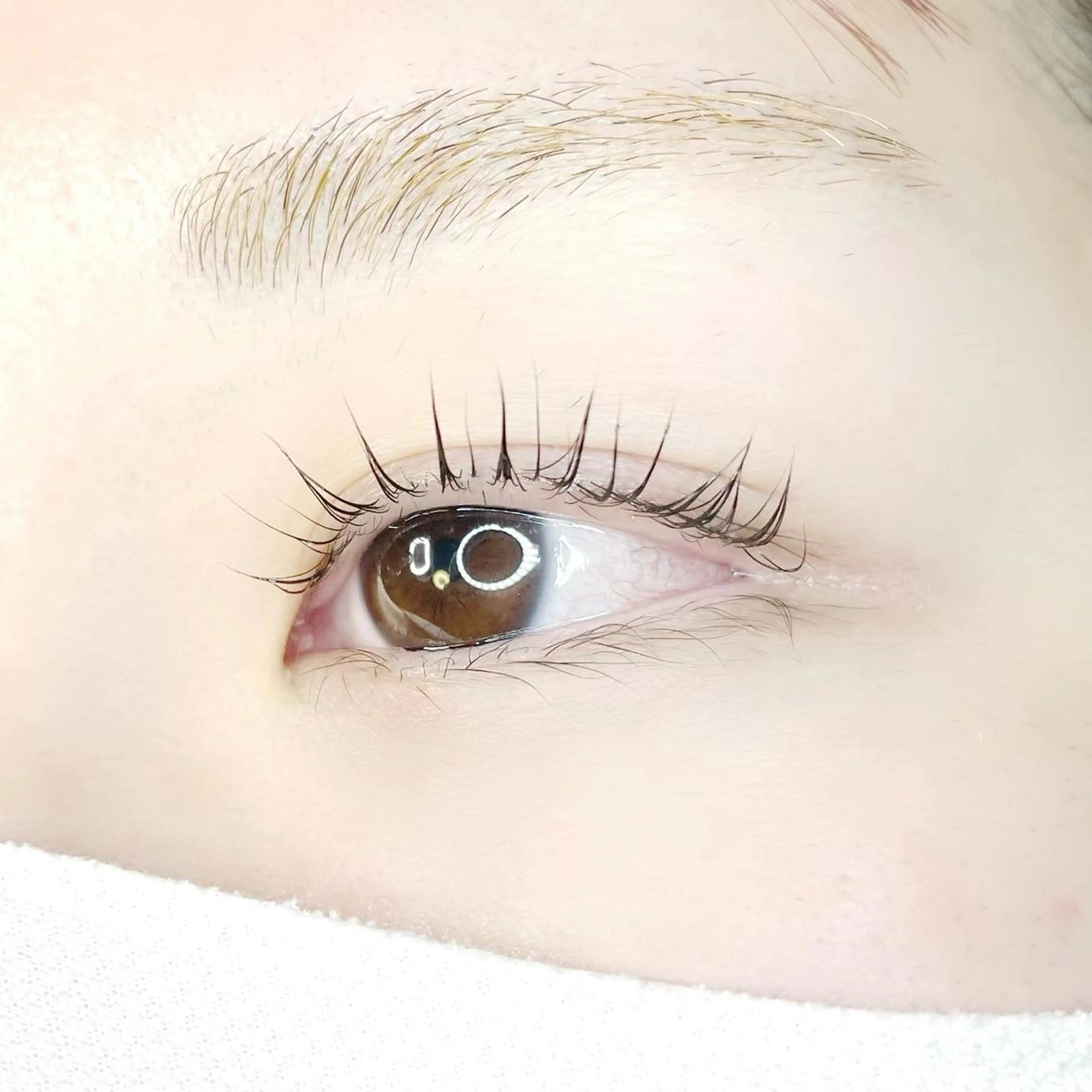 マツエク・マツパ EYELASH LuLuのマツエク・マツパデザイン