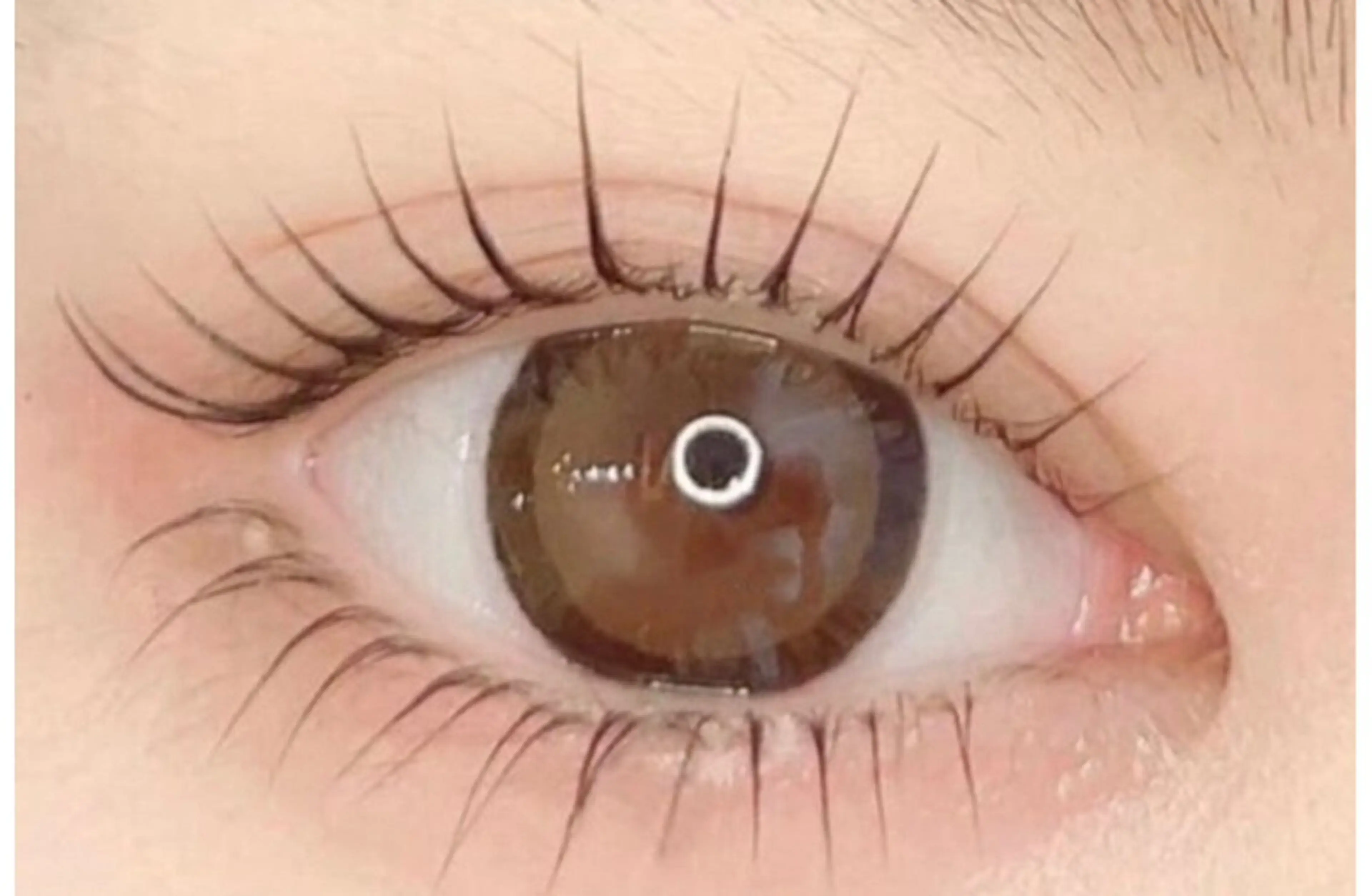 マツエク・マツパ マツパ 🌹ブリランテ🌹 大人気店のマツエク・マツパデザイン