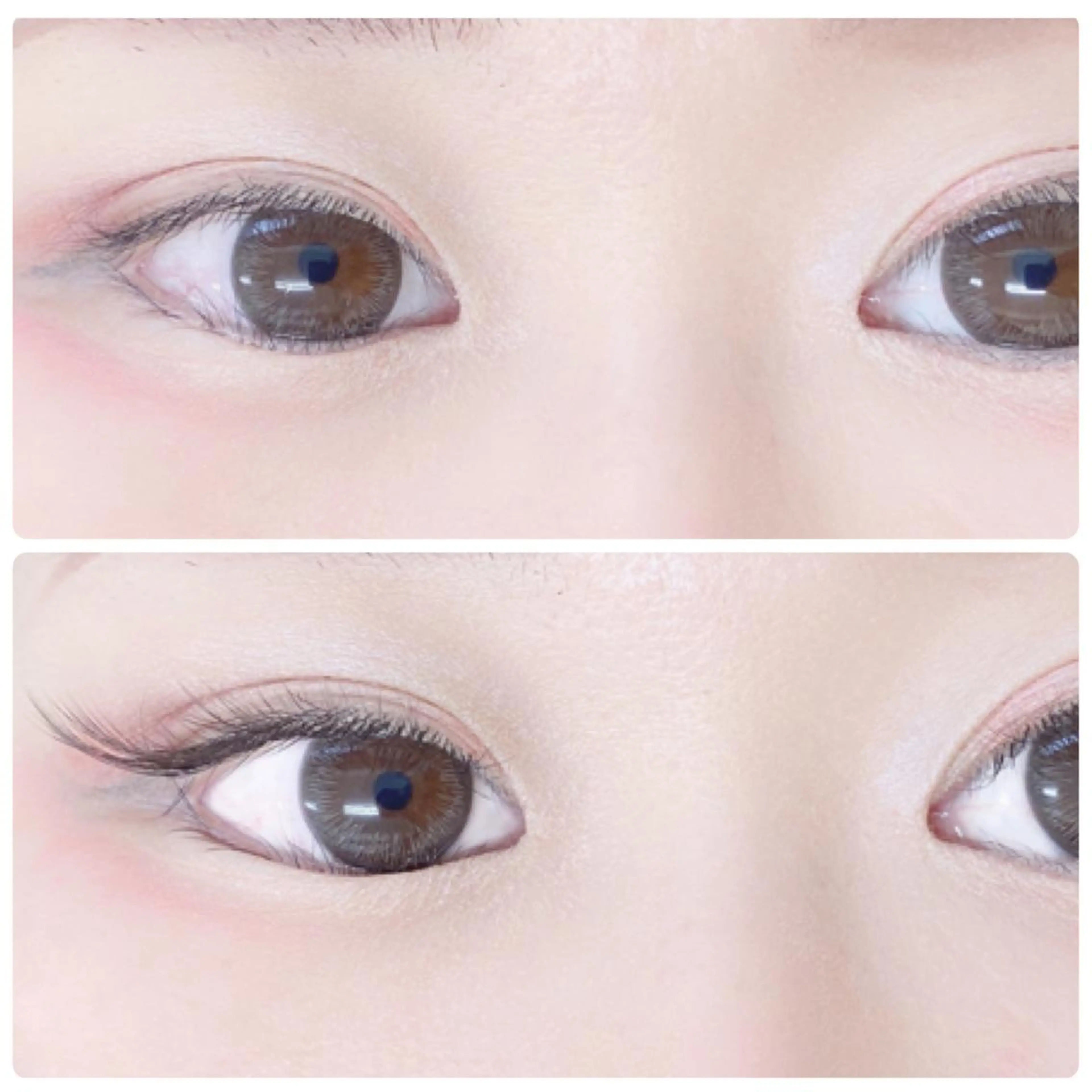 マツエク・マツパ ナチュラル マツエク MAHALO 𓆉の眉毛・アイブロウイメージ