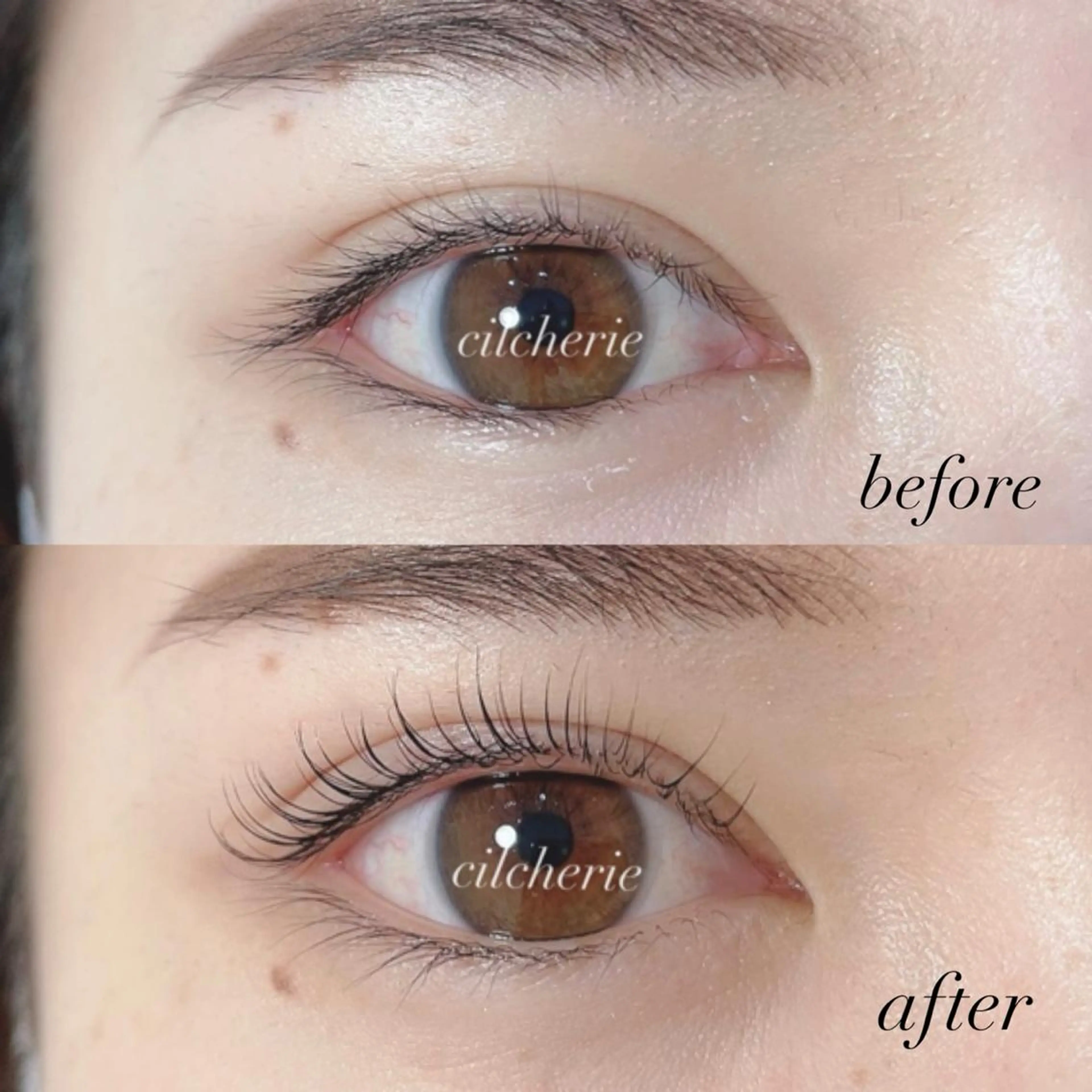 マツエク・マツパ マツパ cilcherie (シルシェリー)のマツエク・マツパデザイン