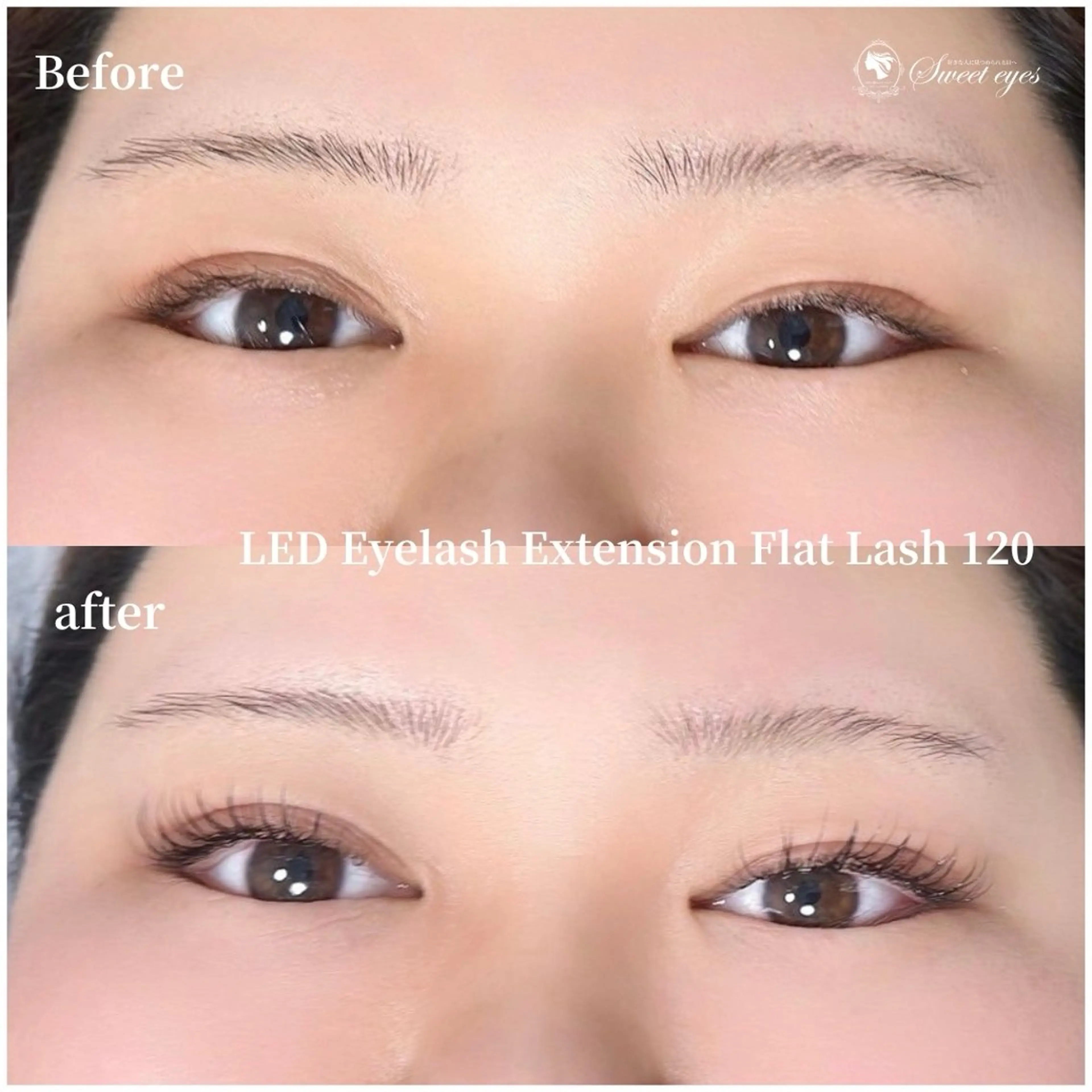 マツエク・マツパ フラットラッシュ ナチュラル マツエク Sweeteyes 金山店のマツエク・マツパデザイン