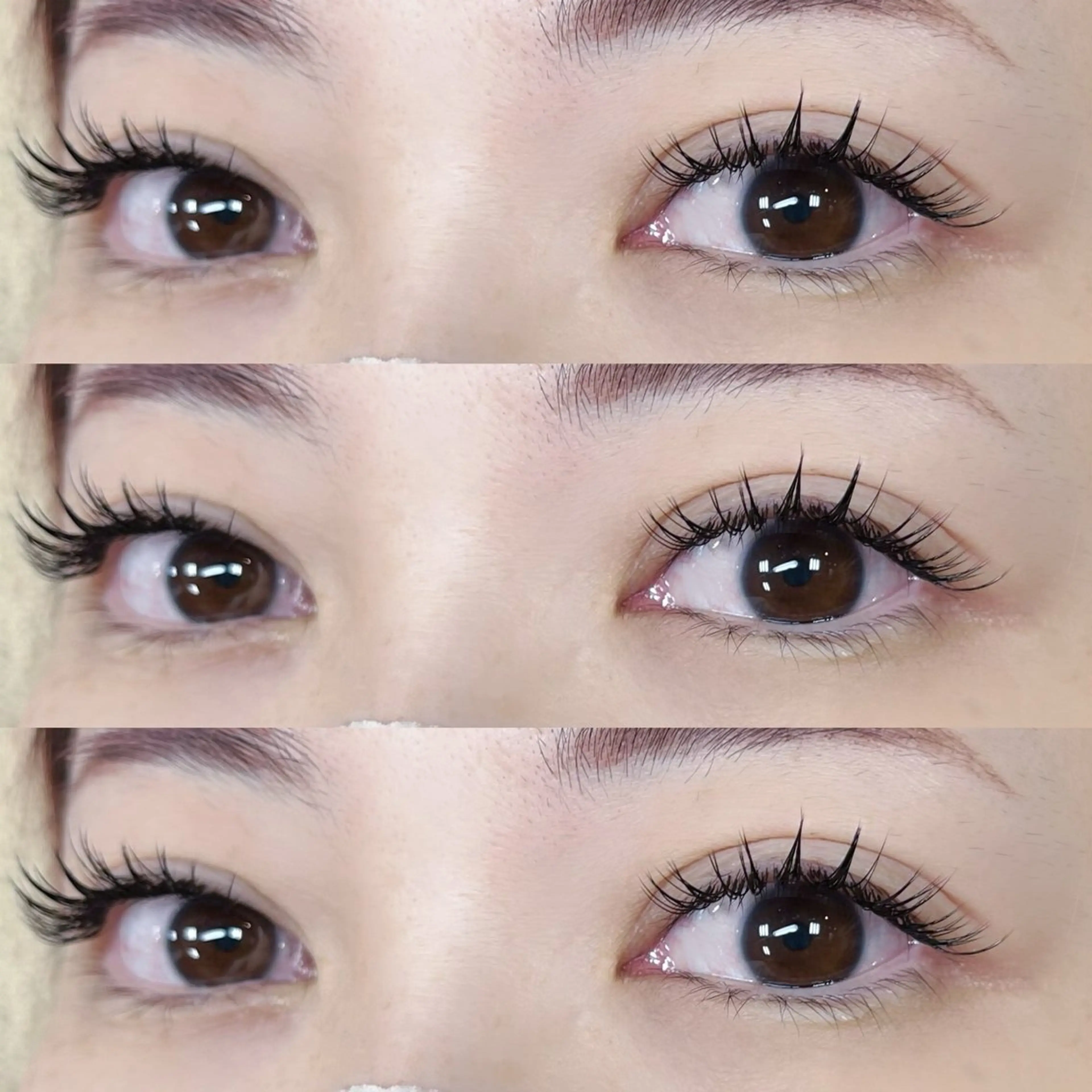 マツエク・マツパ セーブル signpost 🕊️小林のマツエク・マツパデザイン