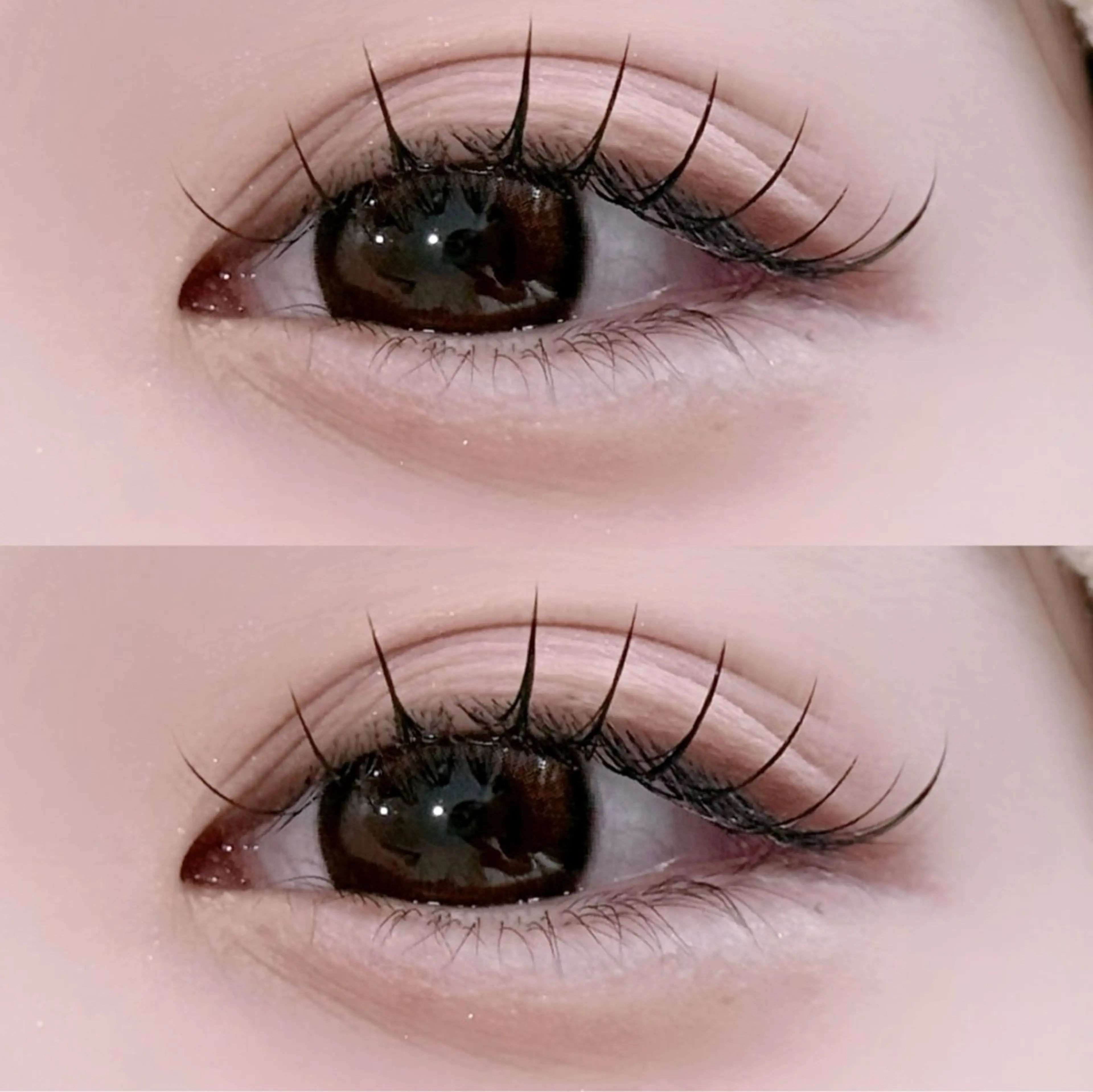 [minimo限定]🧸ིྀフラットラッシュ100本🧸ིྀ￥4950の写真