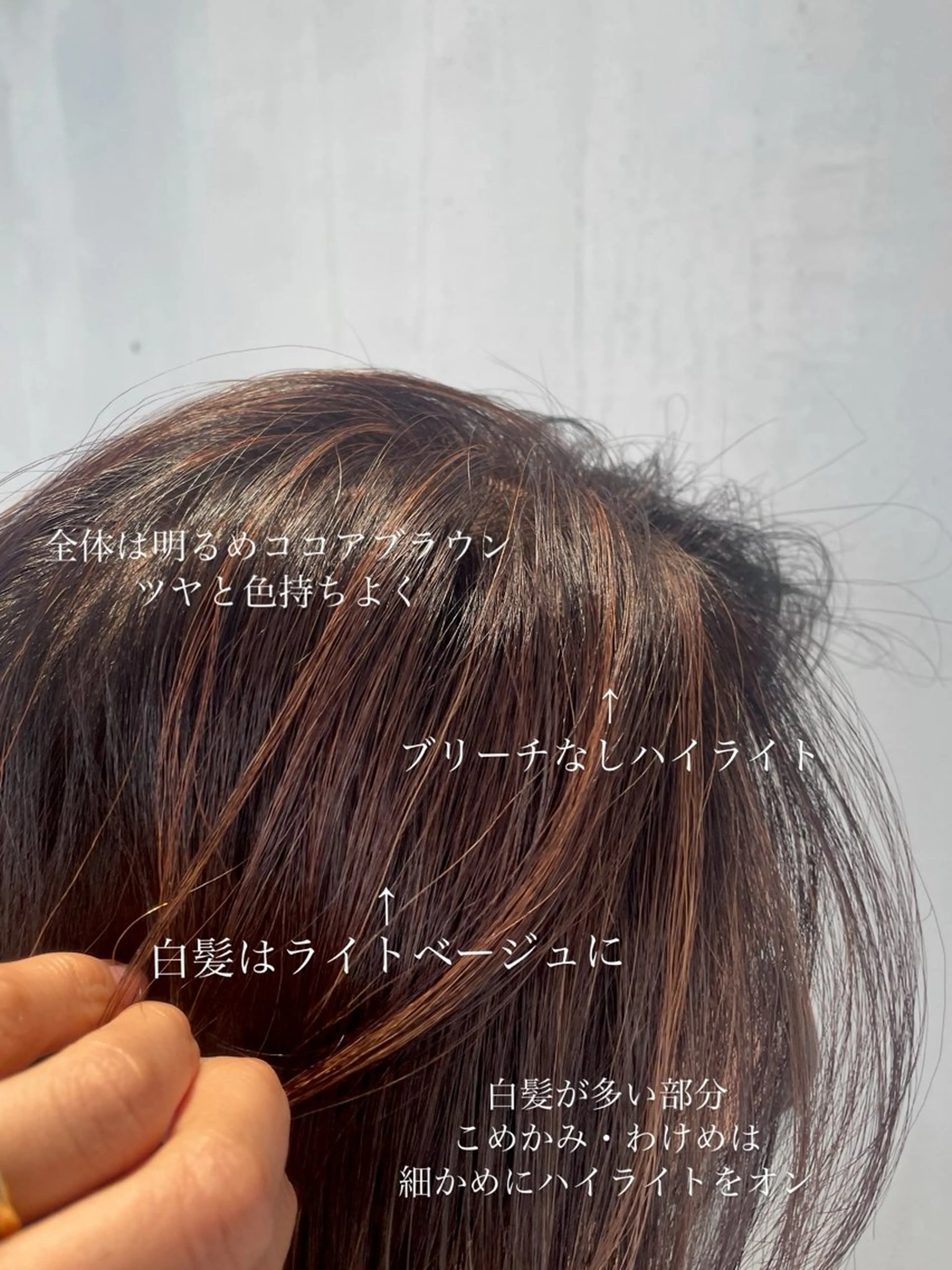 セミロング カラー ベージュカラー ハイライトカラー ハイライト ヘアカラー DX SHARE SALON所属・matka白髪ぼかし 大人ヘア/KEIKOのヘアスタイル