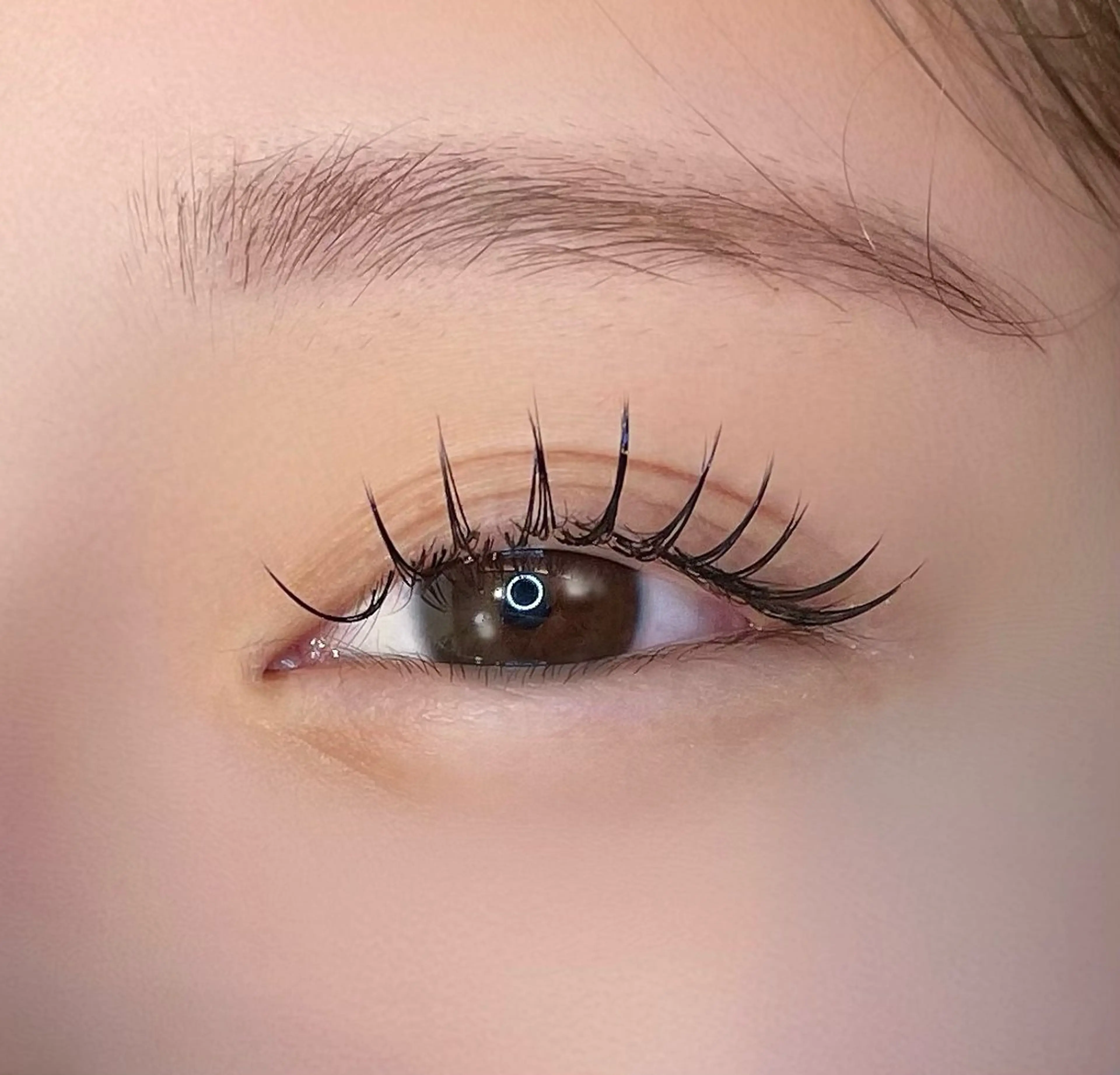 マツエク・マツパ マツエク まつパ/マツエク🤎 艶カラー/ゆり♡⃛のマツエク・マツパデザイン