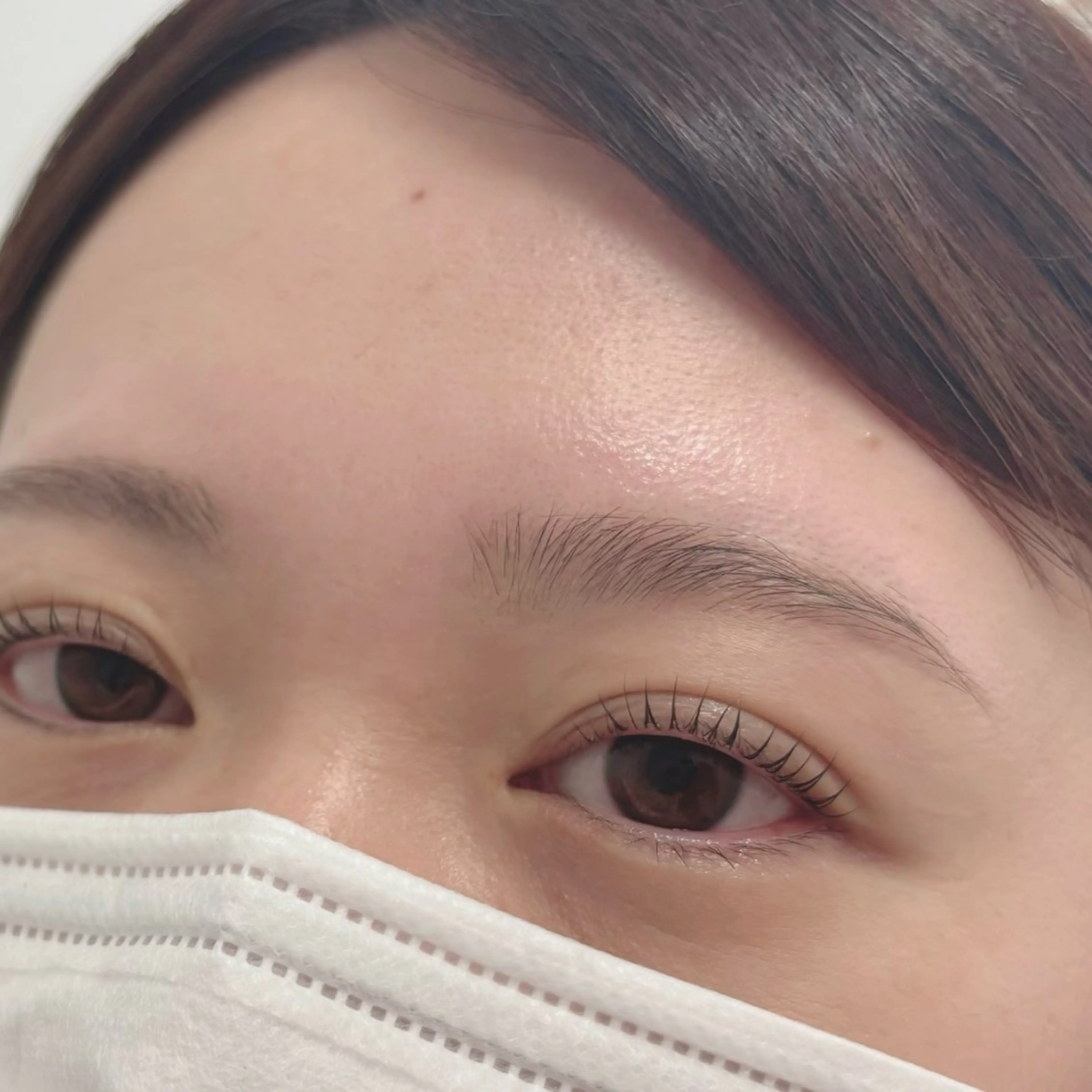 まつ毛パーマ[コーティング込]+美眉アイブロウWAX セットの写真