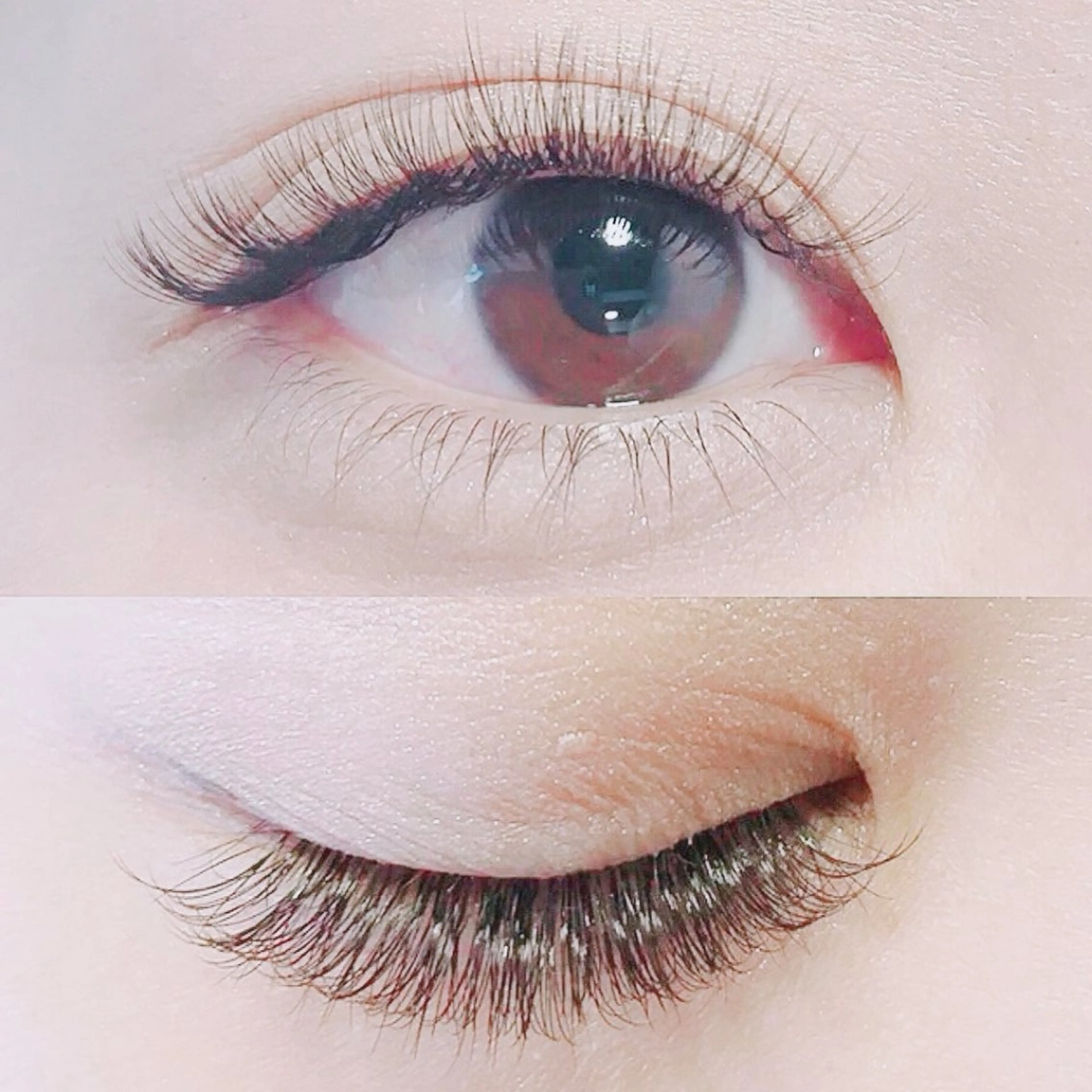 ★人気No.1★🐯ボリュームラッシュ 300本(100束)🐯【初回オフ無料】の写真